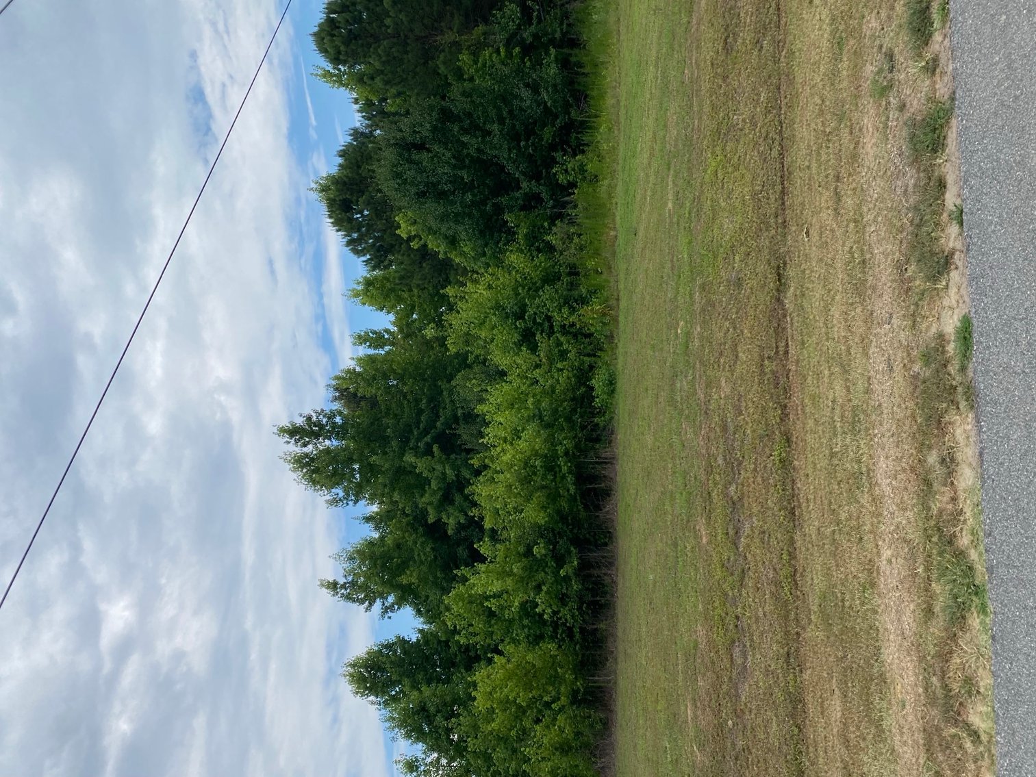 Image for Online/Live/Simulcast Auction of Two Homesites in Harnett County included in the April Multi-Parcel Auction Event!