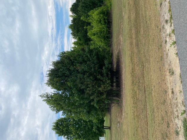 Image for Online/Live/Simulcast Auction of Two Homesites in Harnett County included in the April Multi-Parcel Auction Event!