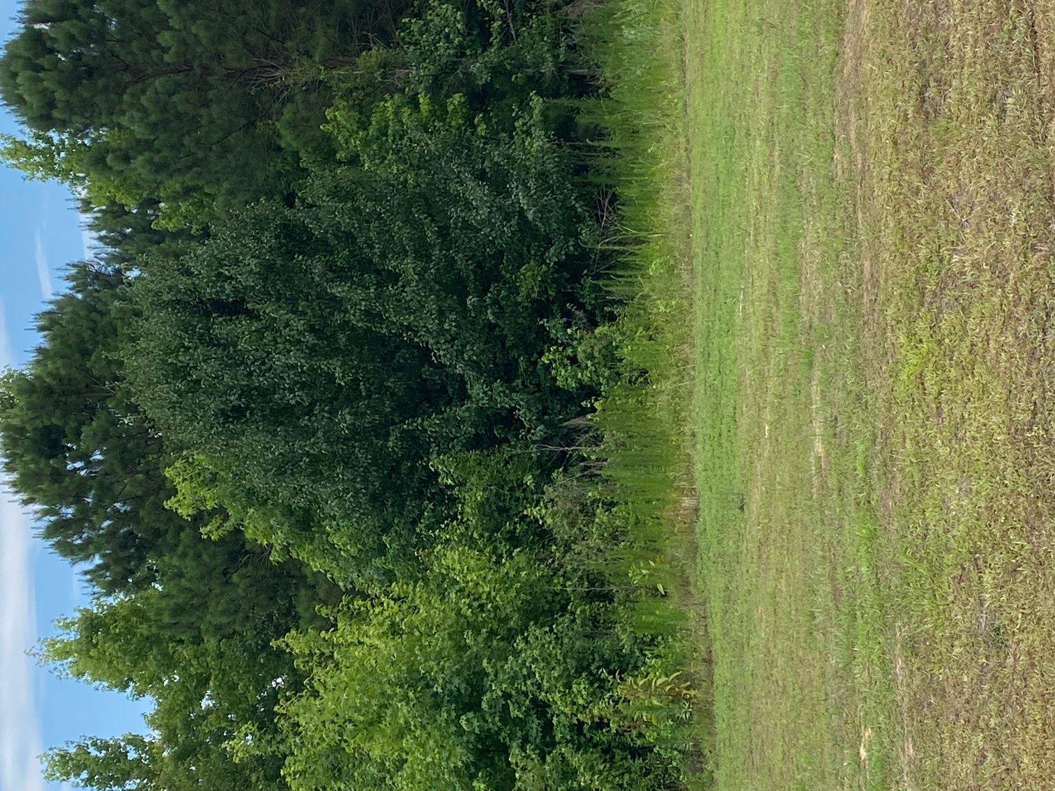 Image for Online/Live/Simulcast Auction of Two Homesites in Harnett County included in the April Multi-Parcel Auction Event!