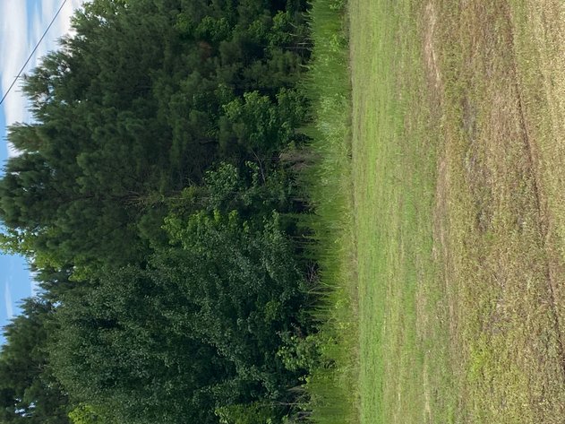 Image for Online/Live/Simulcast Auction of Two Homesites in Harnett County included in the April Multi-Parcel Auction Event!