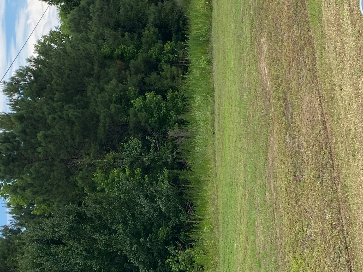 Image for Online/Live/Simulcast Auction of Two Homesites in Harnett County included in the April Multi-Parcel Auction Event!