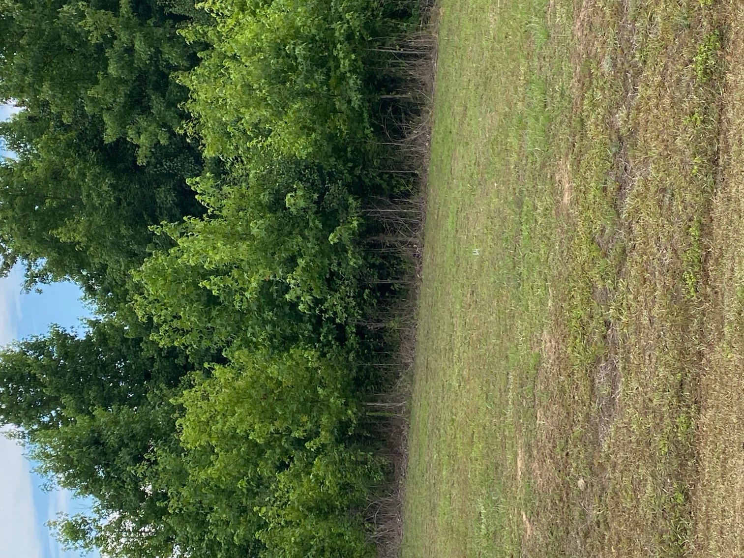 Image for Online/Live/Simulcast Auction of Two Homesites in Harnett County included in the April Multi-Parcel Auction Event!