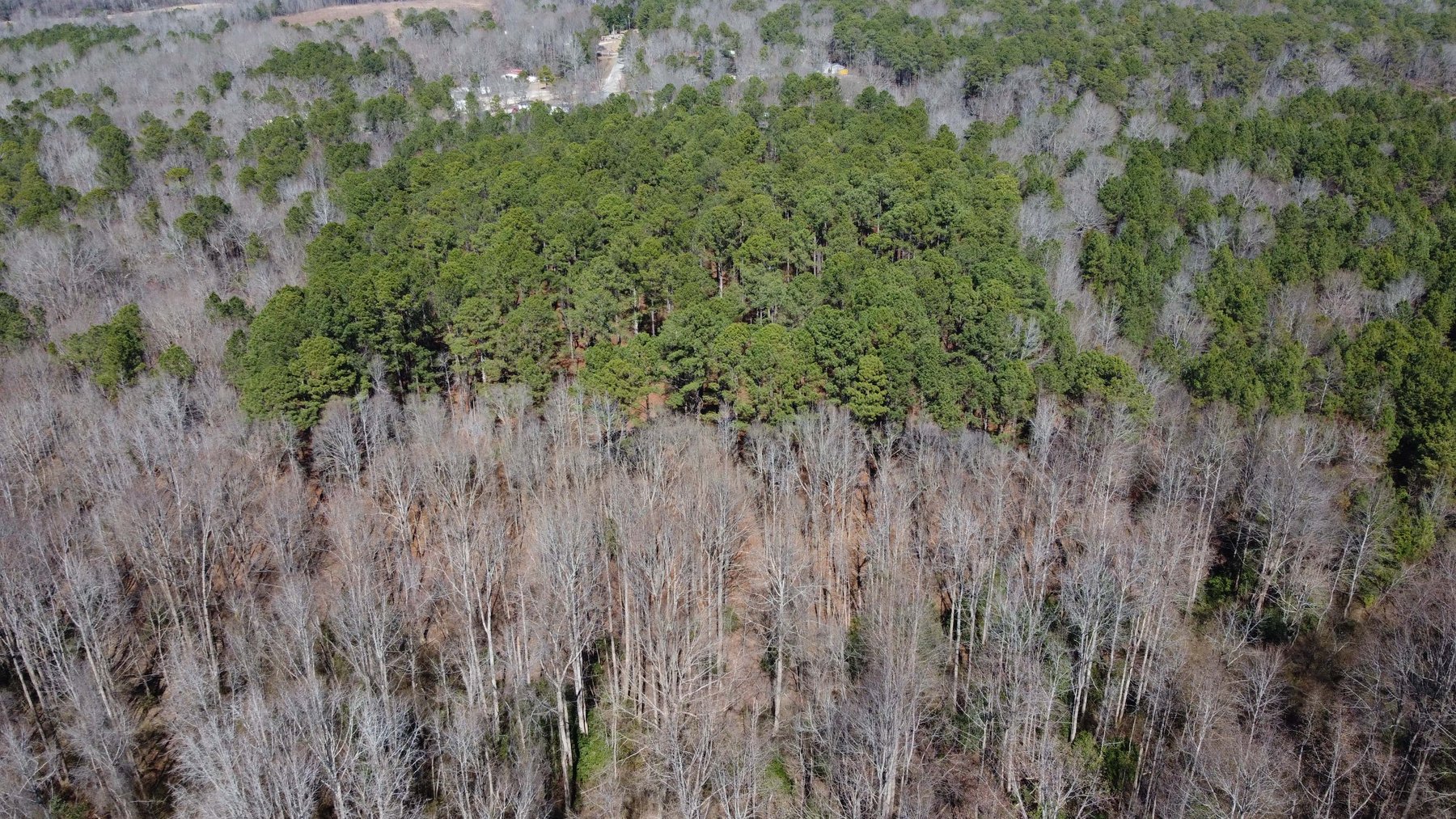 Image for 75+/- Acres in Johnston County Online/Live/Simulcast April Multi-Parcel Auction!