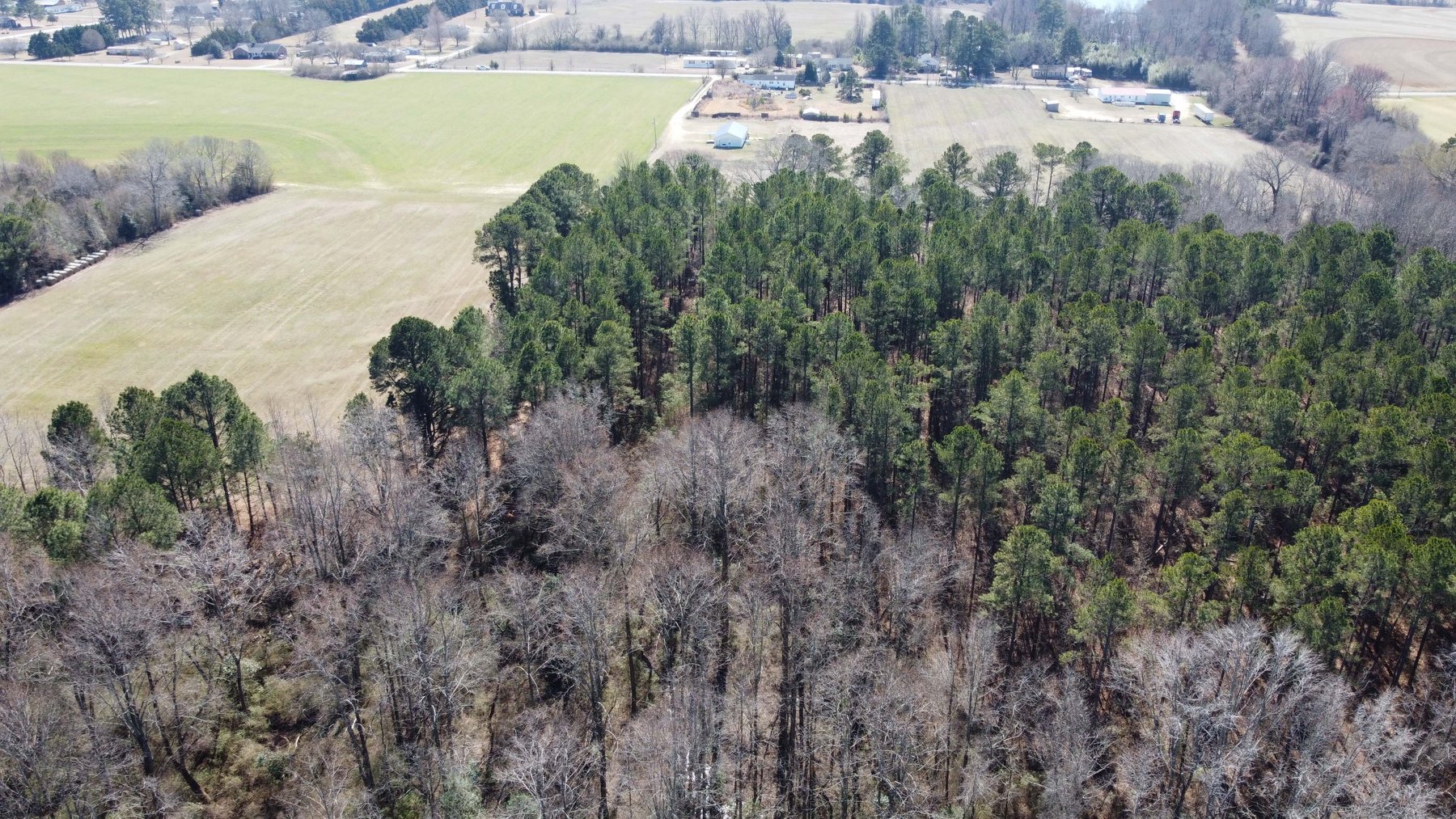 Image for 75+/- Acres in Johnston County Online/Live/Simulcast April Multi-Parcel Auction!