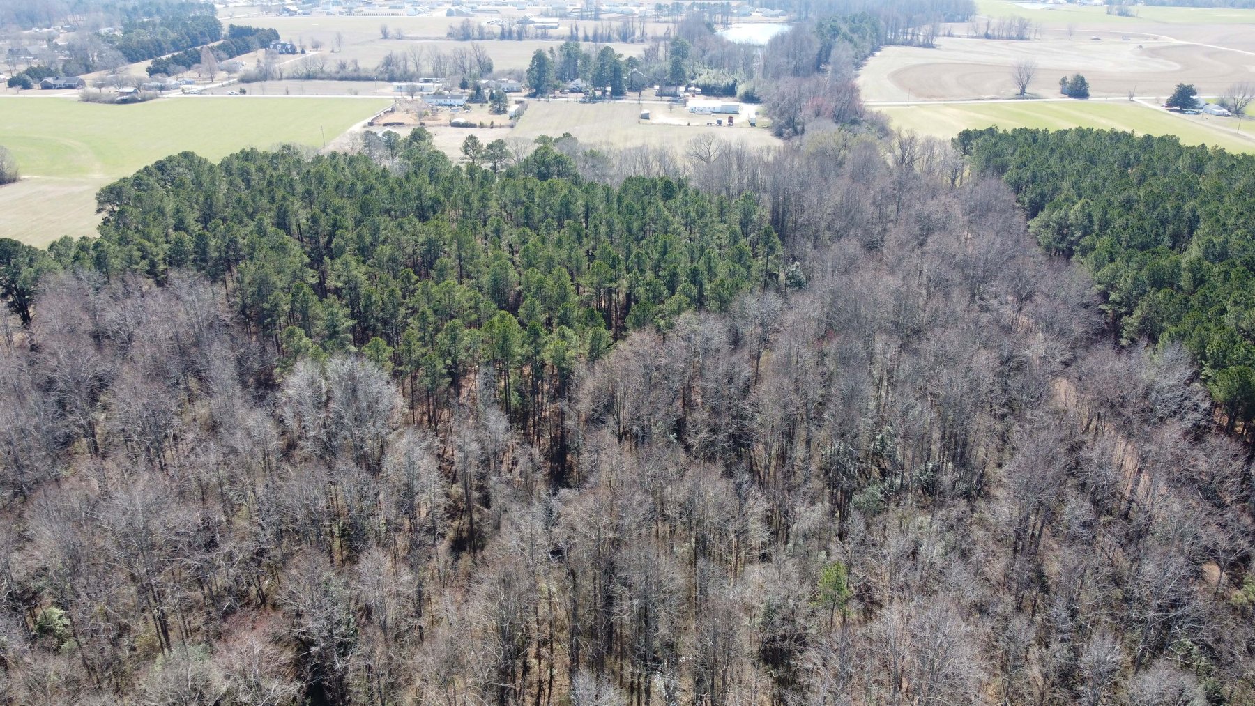 Image for 75+/- Acres in Johnston County Online/Live/Simulcast April Multi-Parcel Auction!