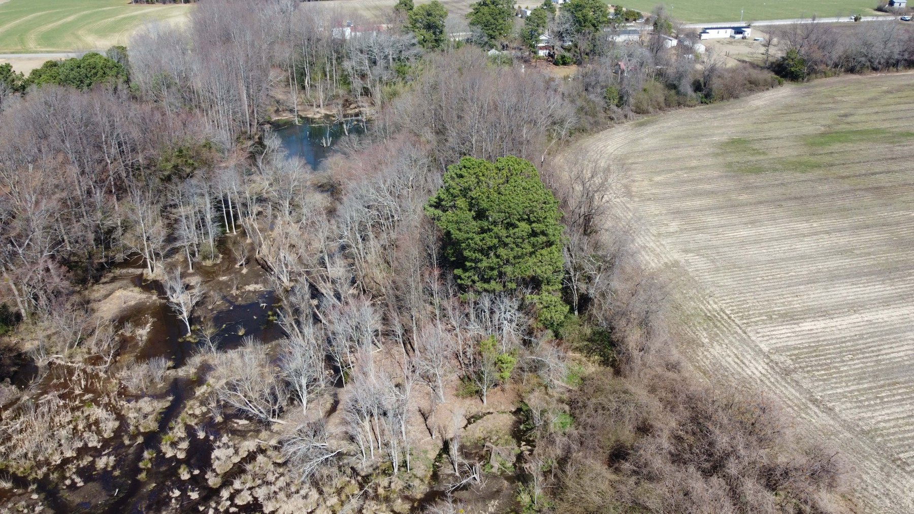 Image for 75+/- Acres in Johnston County Online/Live/Simulcast April Multi-Parcel Auction!