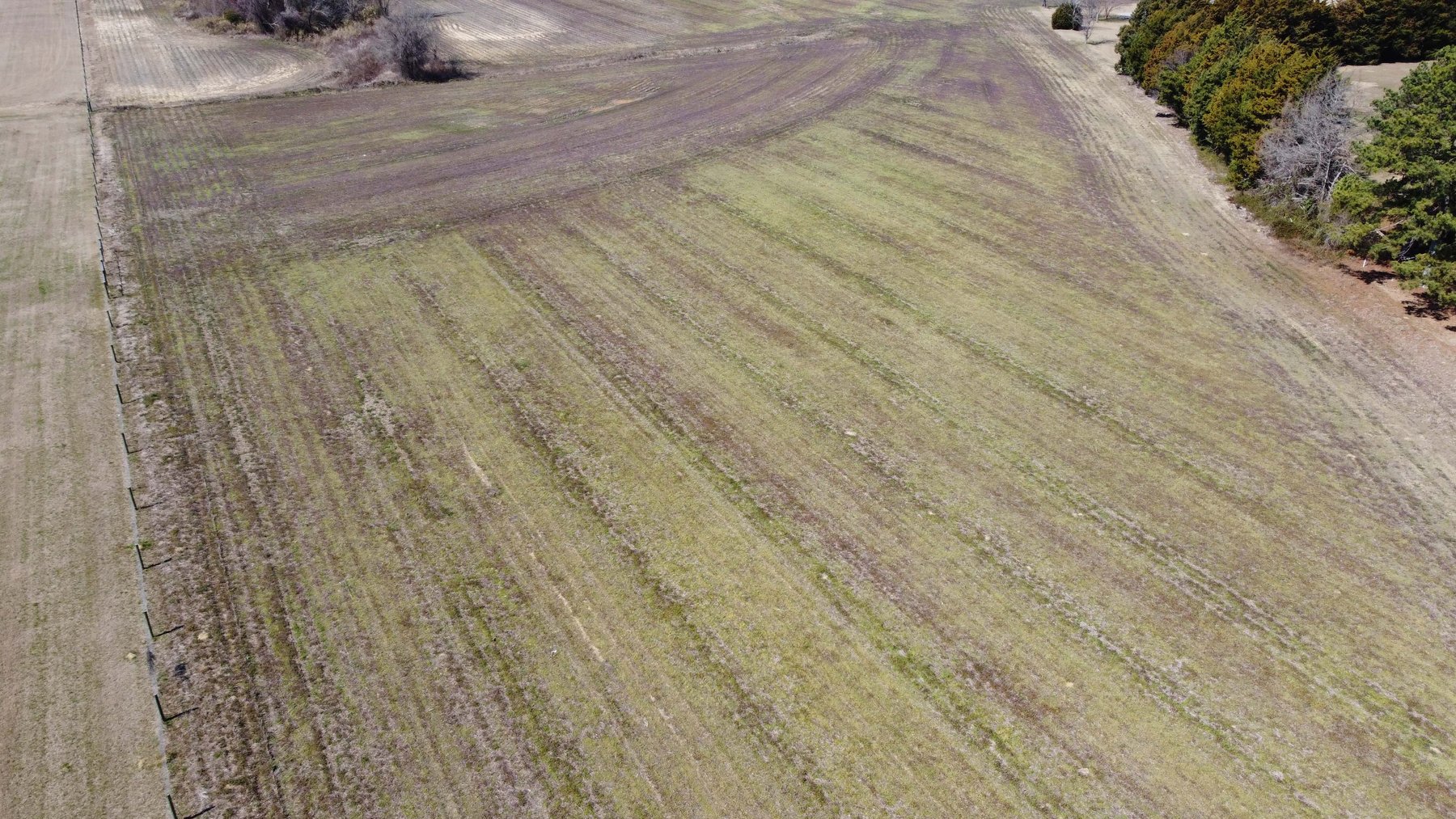 Image for 75+/- Acres in Johnston County Online/Live/Simulcast April Multi-Parcel Auction!