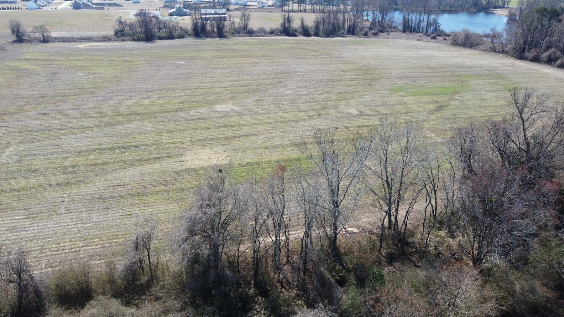 Image for 75+/- Acres in Johnston County Online/Live/Simulcast April Multi-Parcel Auction!