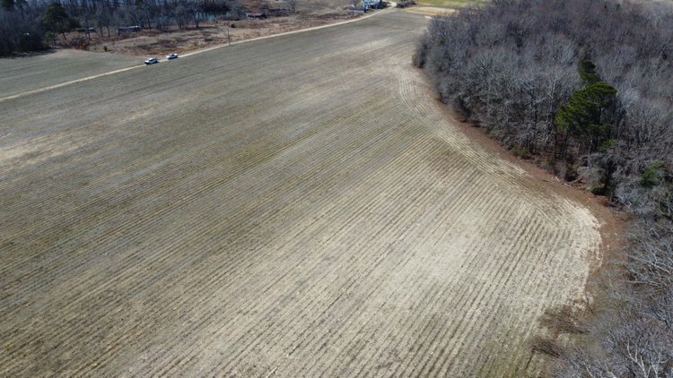 Image for 25+/- Acres off NC 50 Johnston County included in the April Multi-Parcel Auction!