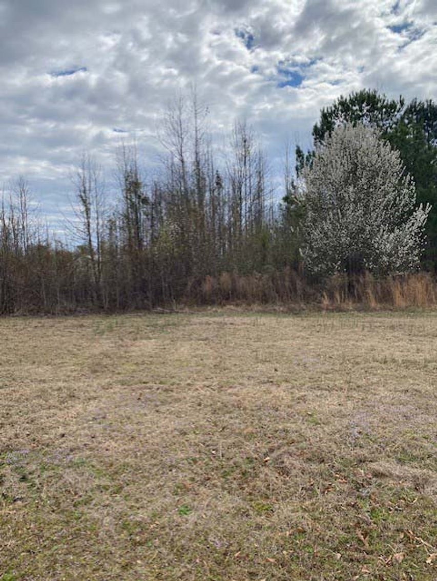 Image for Online/Live/Simulcast Auction of Two Homesites in Harnett County included in the April Multi-Parcel Auction Event!
