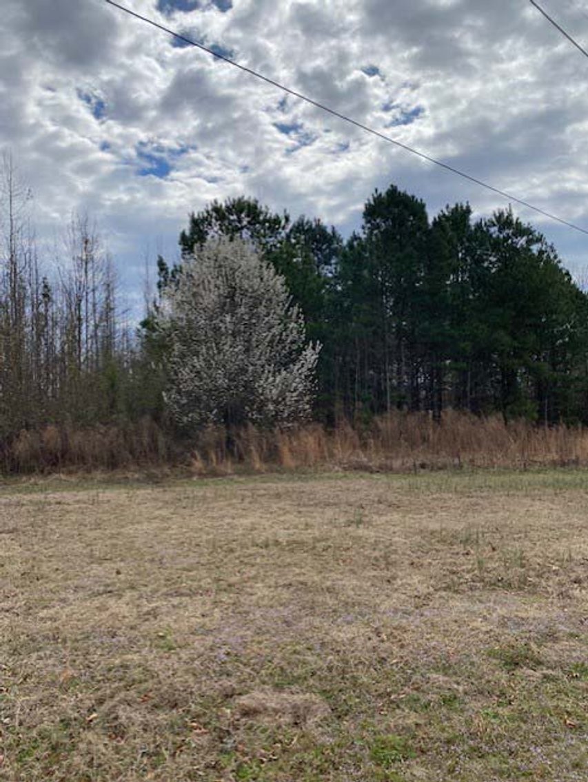 Image for Online/Live/Simulcast Auction of Two Homesites in Harnett County included in the April Multi-Parcel Auction Event!