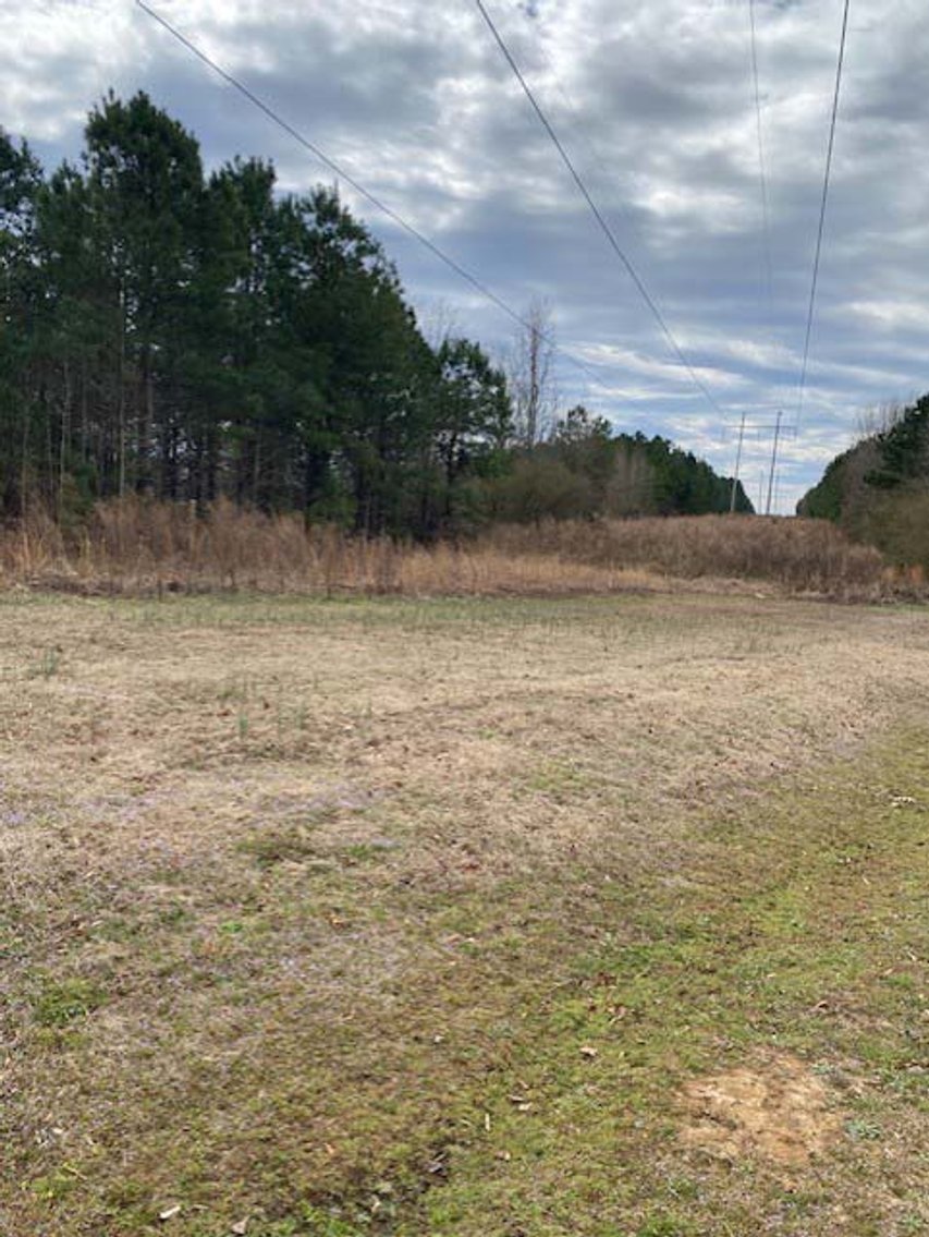 Image for Online/Live/Simulcast Auction of Two Homesites in Harnett County included in the April Multi-Parcel Auction Event!
