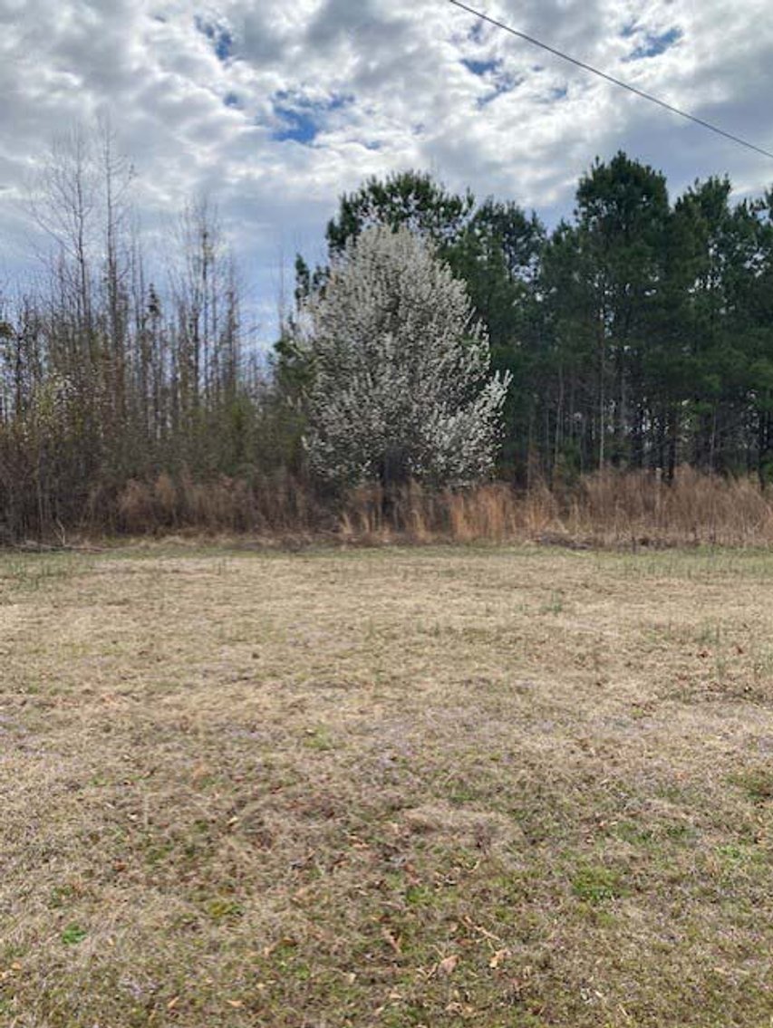 Image for Online/Live/Simulcast Auction of Two Homesites in Harnett County included in the April Multi-Parcel Auction Event!