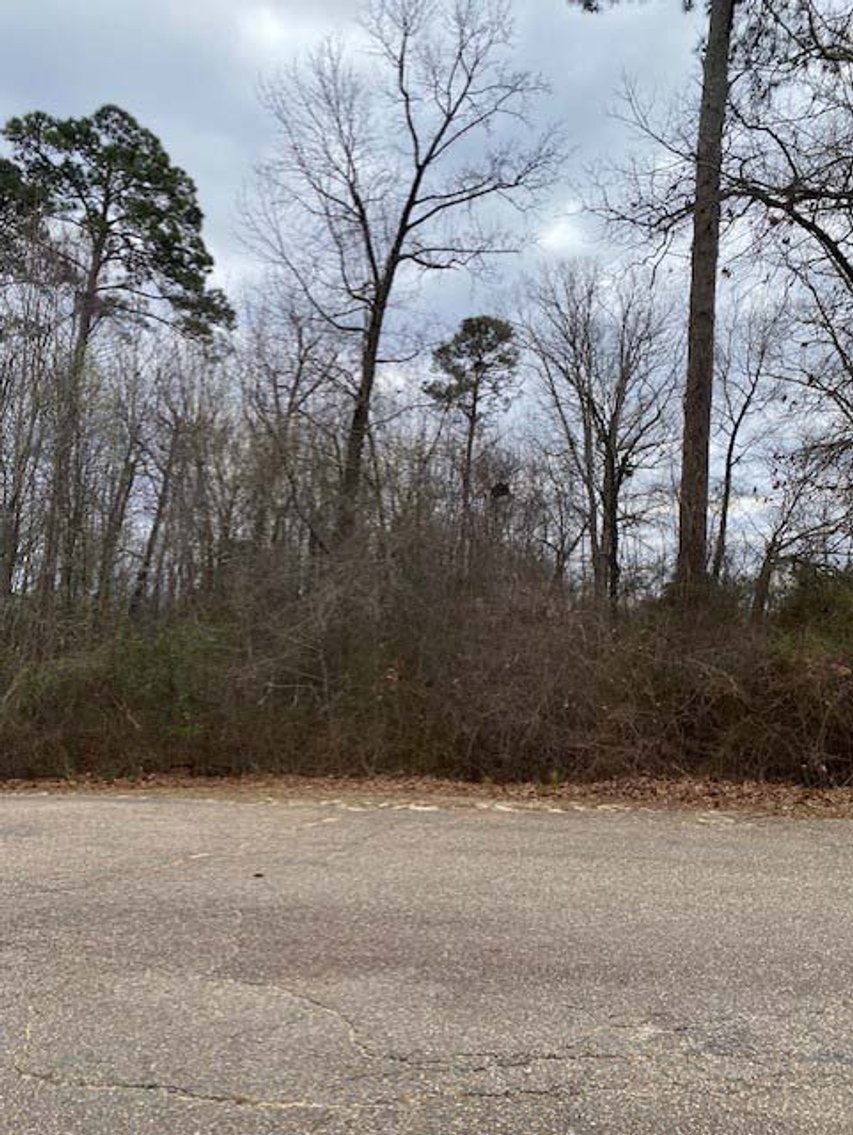 Image for Online/Live/Simulcast Auction of Two Homesites in Harnett County included in the April Multi-Parcel Auction Event!