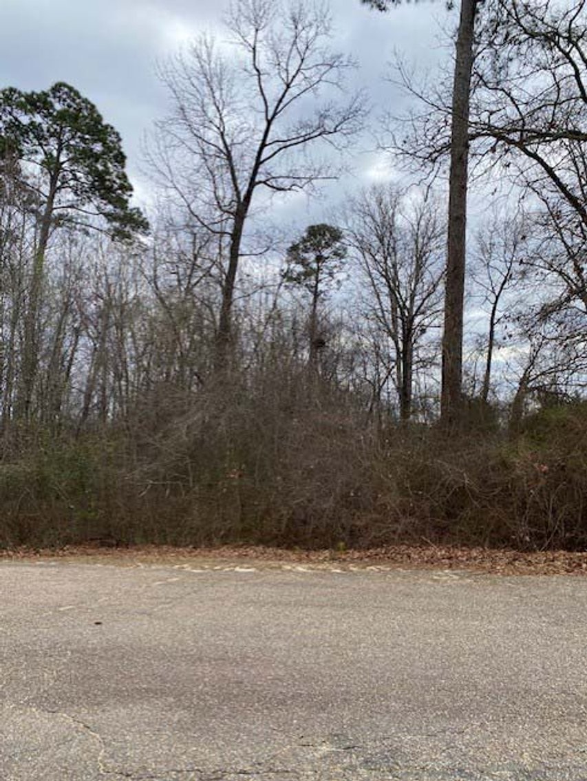 Image for Online/Live/Simulcast Auction of Two Homesites in Harnett County included in the April Multi-Parcel Auction Event!