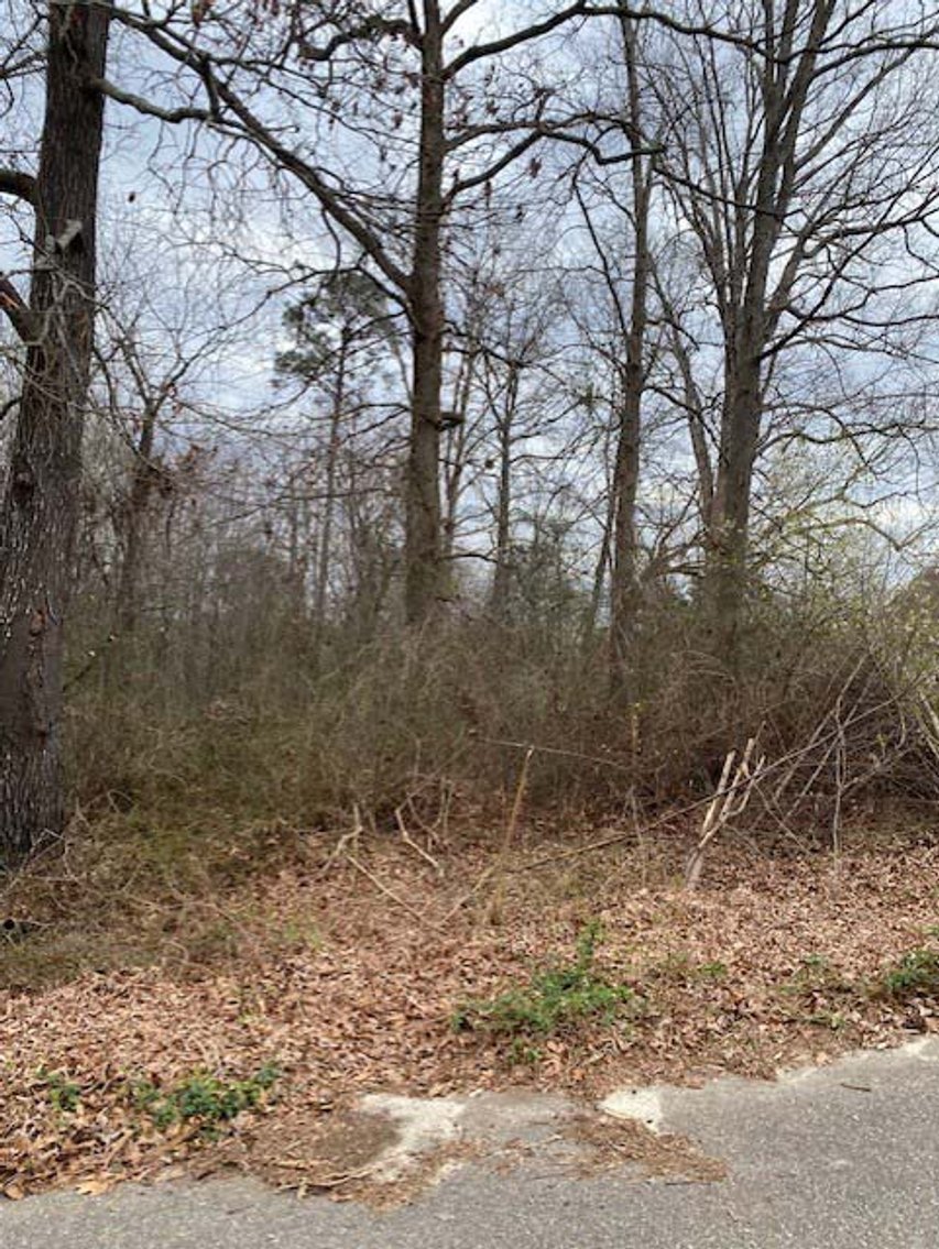 Image for Online/Live/Simulcast Auction of Two Homesites in Harnett County included in the April Multi-Parcel Auction Event!