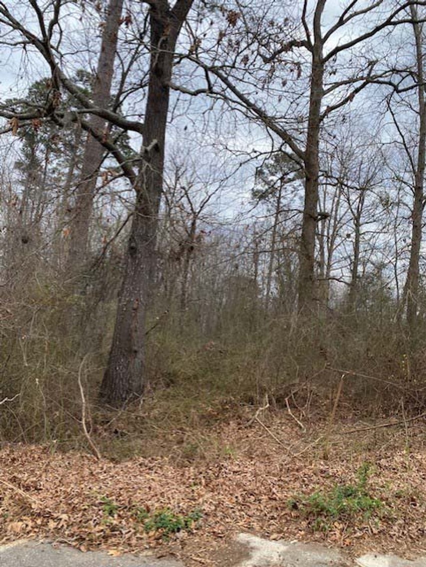 Image for Online/Live/Simulcast Auction of Two Homesites in Harnett County included in the April Multi-Parcel Auction Event!