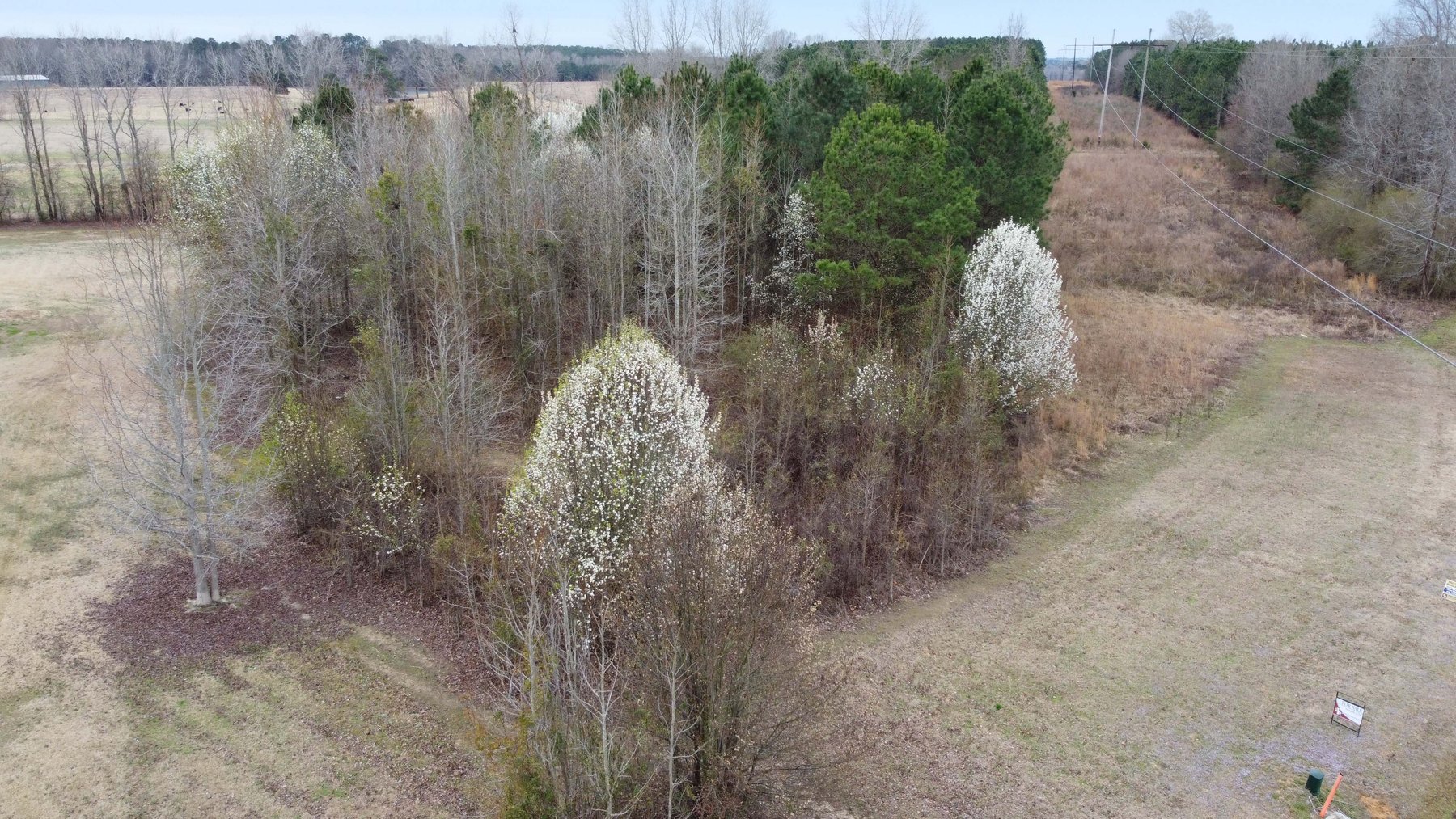 Image for Online/Live/Simulcast Auction of Two Homesites in Harnett County included in the April Multi-Parcel Auction Event!