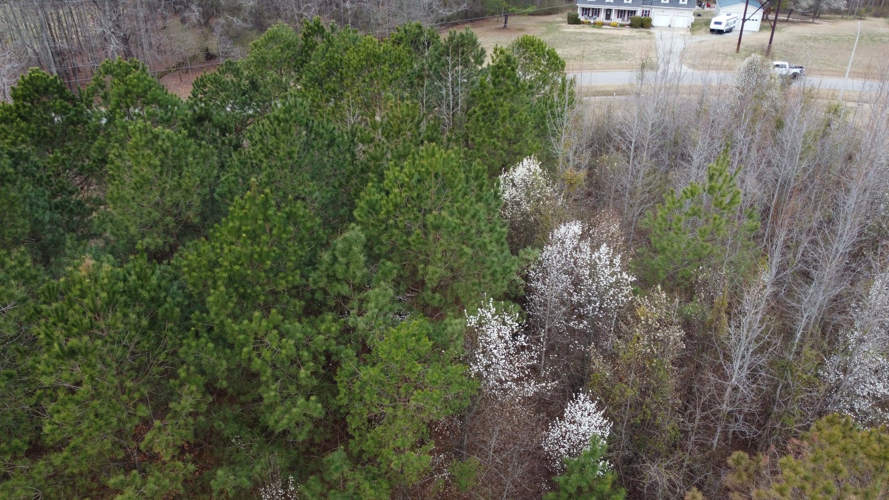 Image for Online/Live/Simulcast Auction of Two Homesites in Harnett County included in the April Multi-Parcel Auction Event!