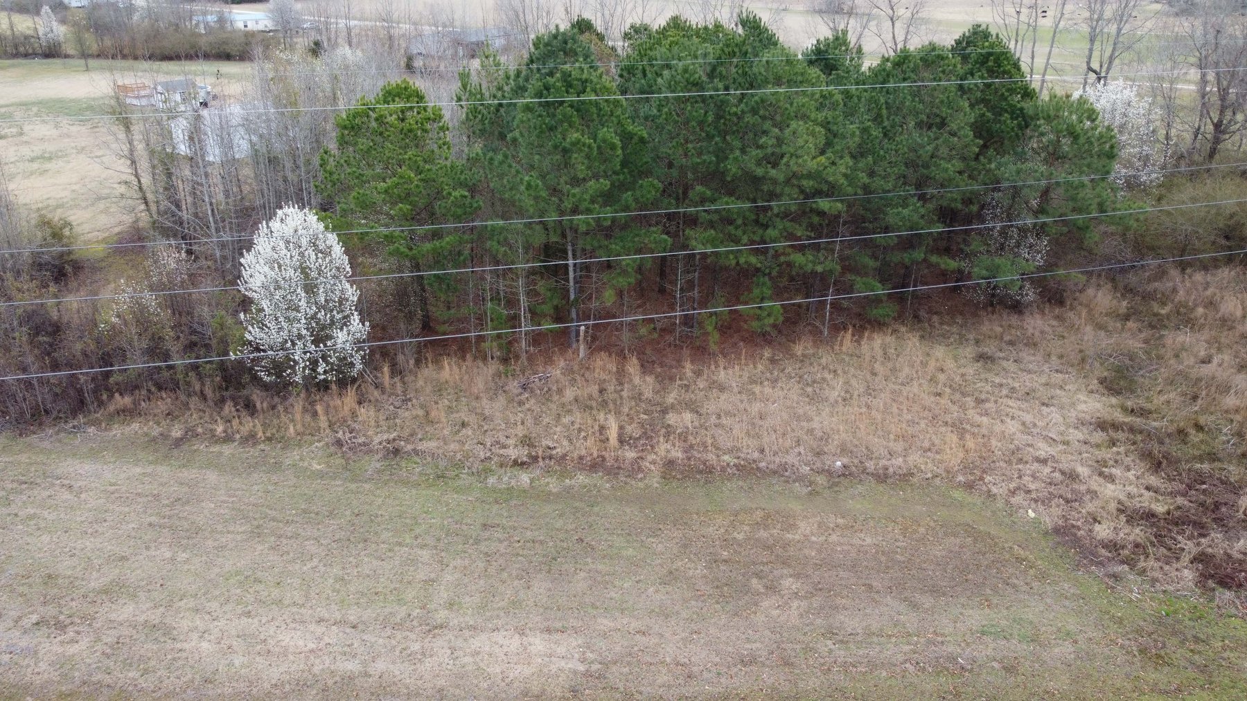 Image for Online/Live/Simulcast Auction of Two Homesites in Harnett County included in the April Multi-Parcel Auction Event!