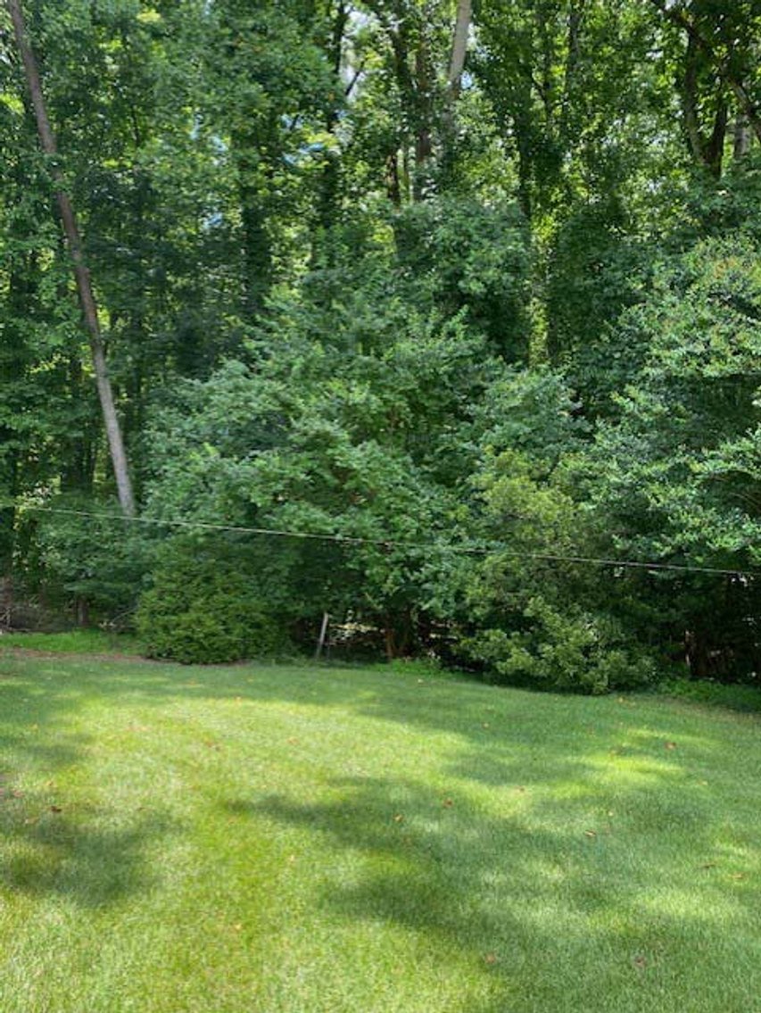 Image for Super Brick Ranch in an established neighborhood with a basement!  SOLD AND CLOSED DUE TO PRE-AUCTION MARKETING!