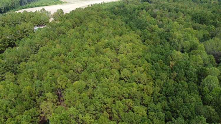 Image for Approx. 300 Acres Divided into 4 tracts and a Home in Harnett County!