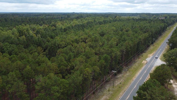 Image for Approx. 300 Acres Divided into 4 tracts and a Home in Harnett County!