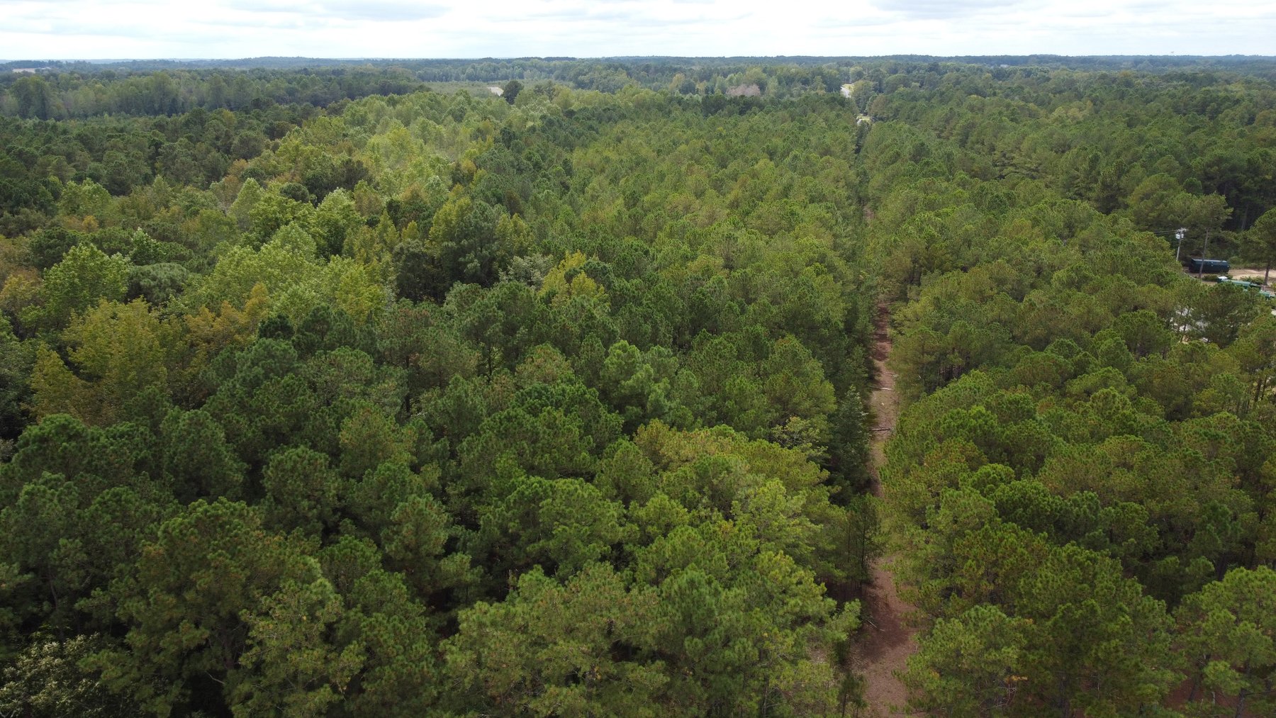 Image for Approx. 300 Acres Divided into 4 tracts and a Home in Harnett County!