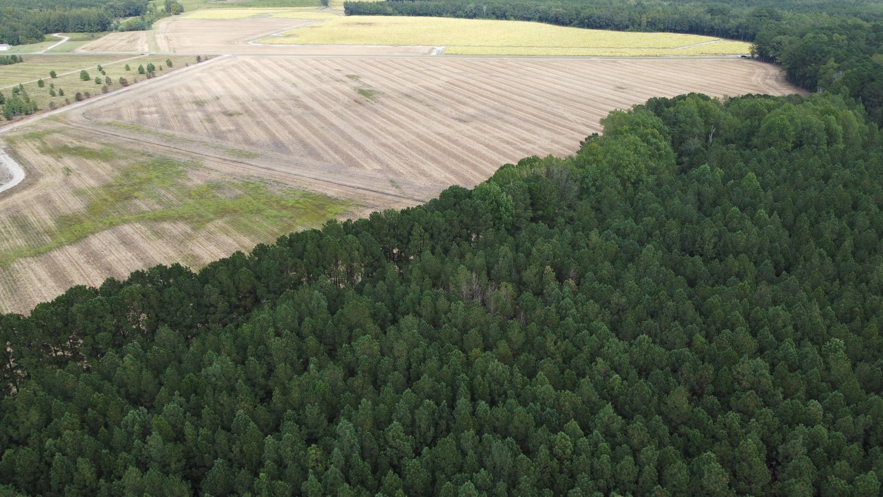 Image for Approx. 300 Acres Divided into 4 tracts and a Home in Harnett County!