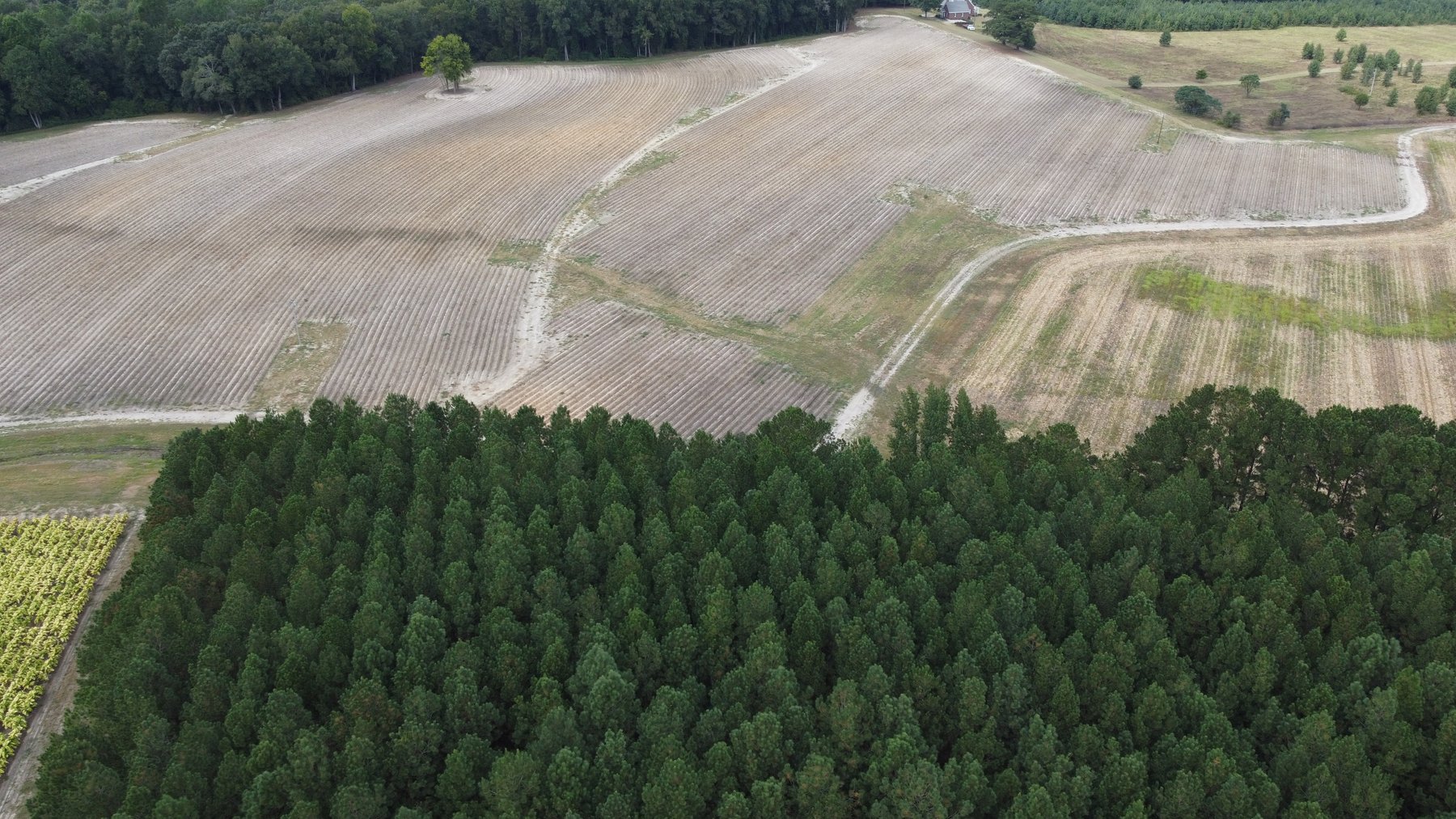 Image for Approx. 300 Acres Divided into 4 tracts and a Home in Harnett County!