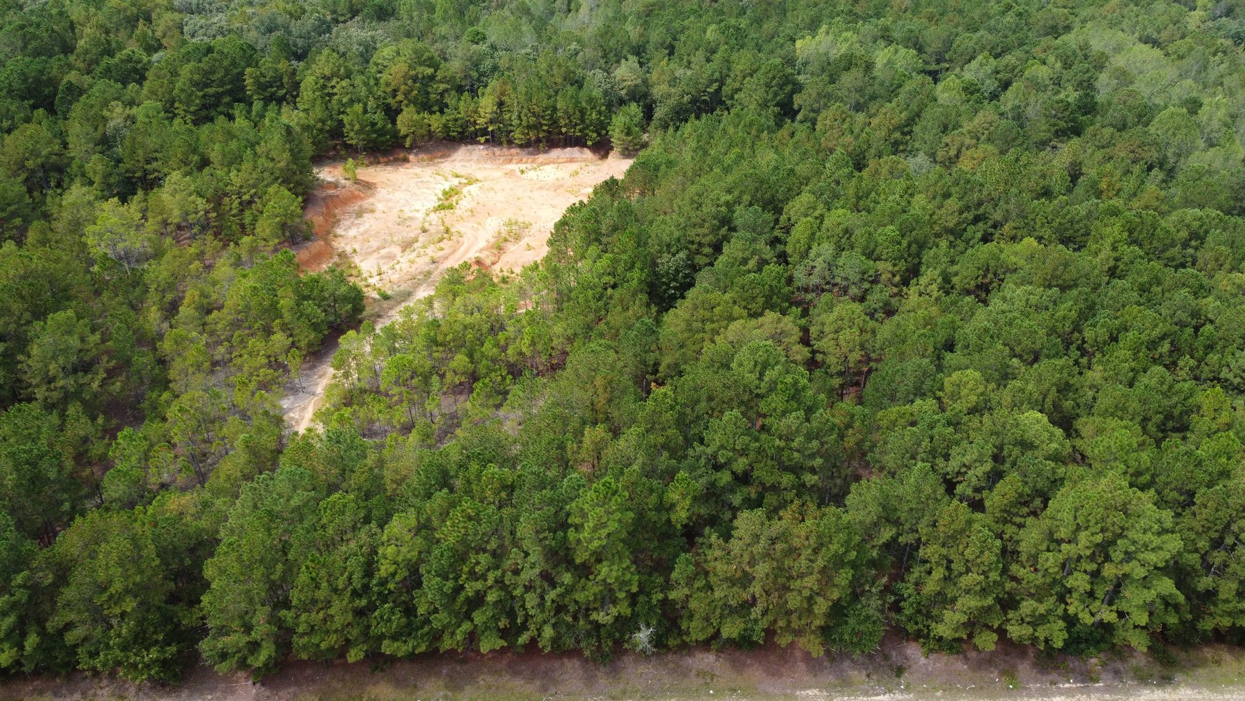 Image for Approx. 300 Acres Divided into 4 tracts and a Home in Harnett County!
