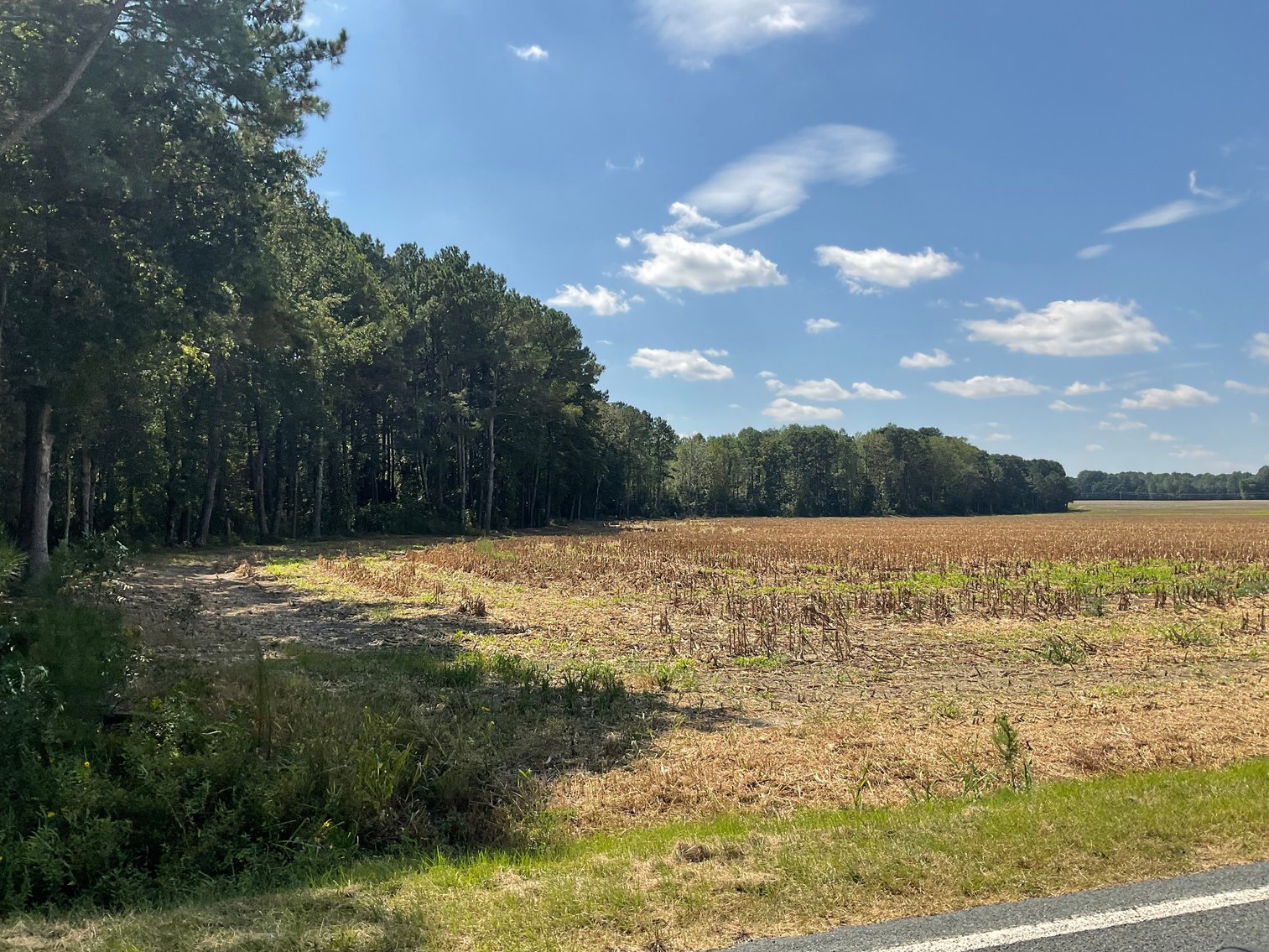 Image for Approx. 300 Acres Divided into 4 tracts and a Home in Harnett County!