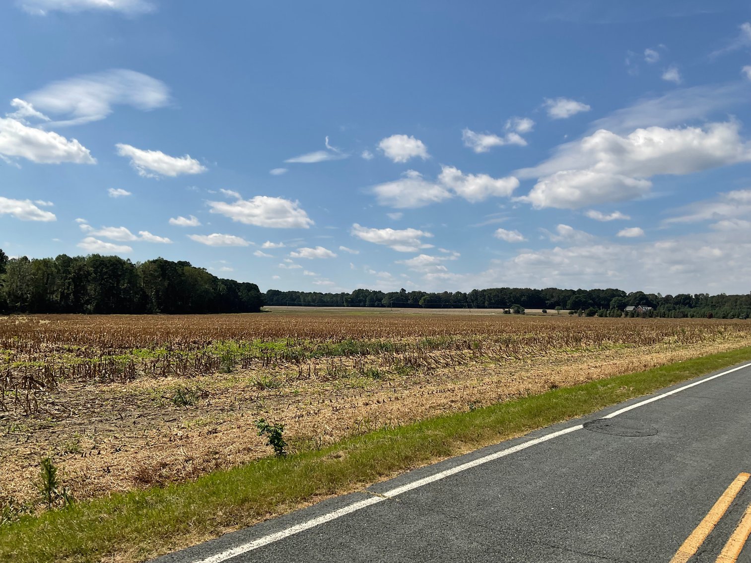 Image for Approx. 300 Acres Divided into 4 tracts and a Home in Harnett County!