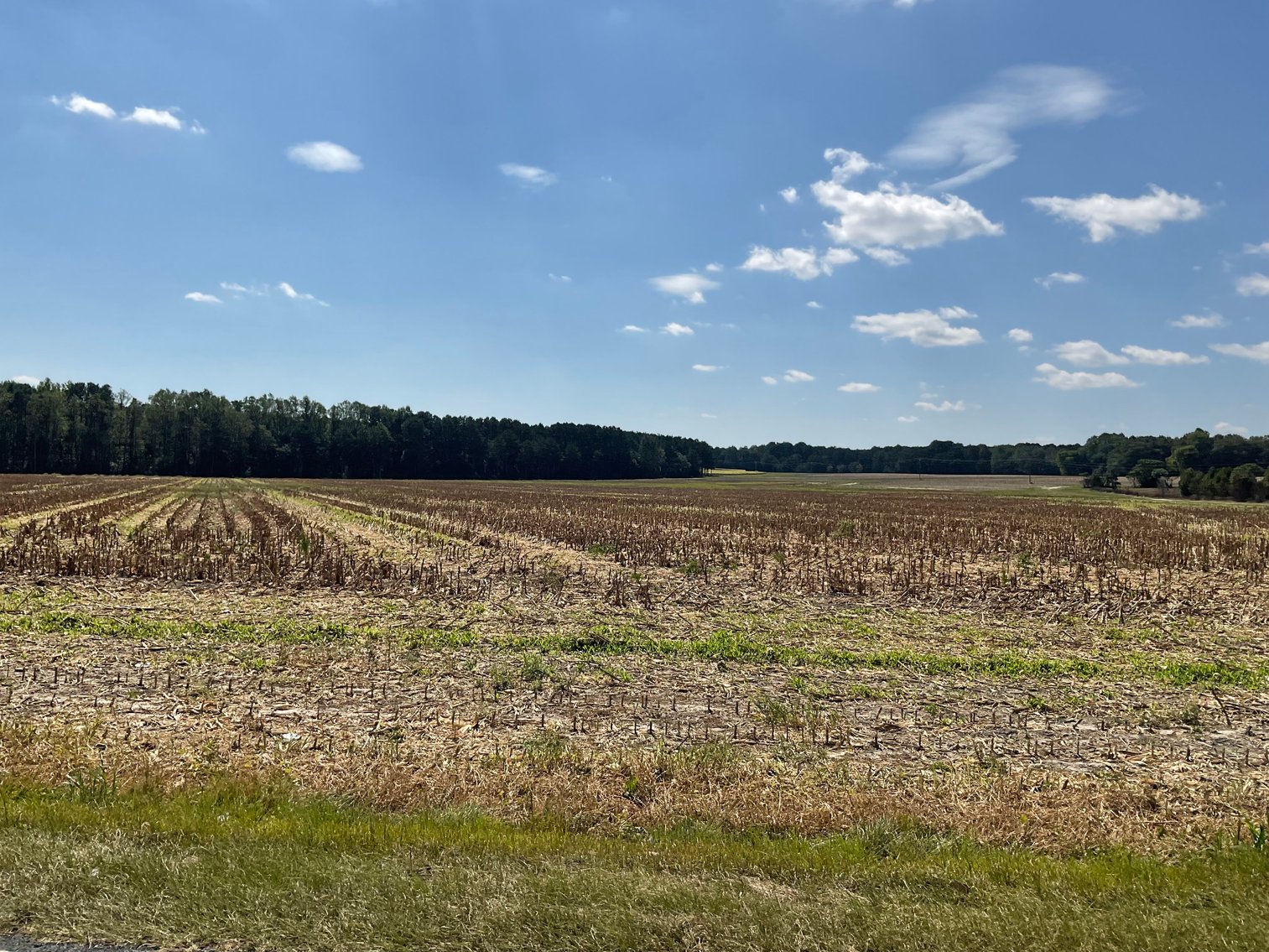 Image for Approx. 300 Acres Divided into 4 tracts and a Home in Harnett County!