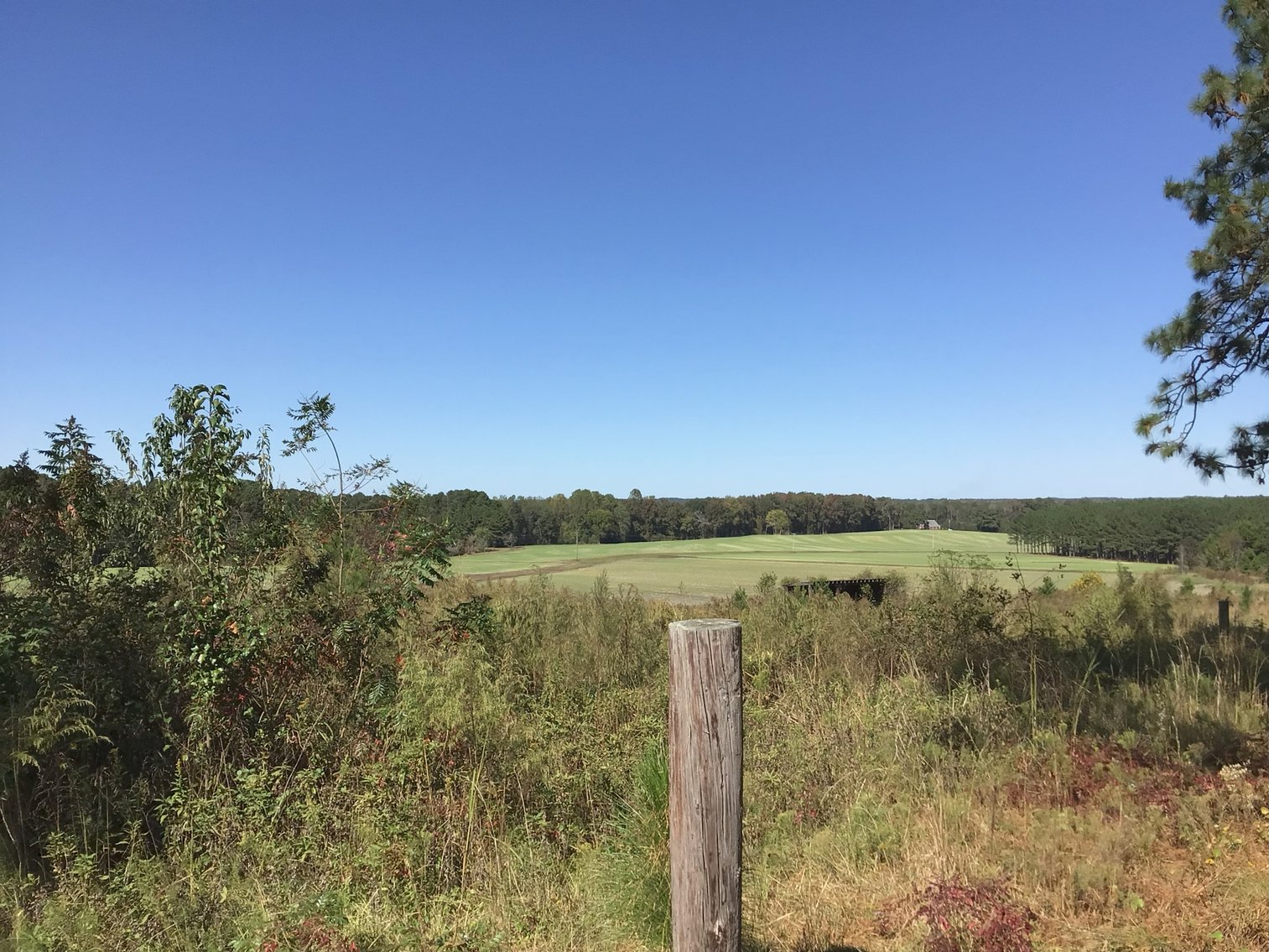 Image for Approx. 300 Acres Divided into 4 tracts and a Home in Harnett County!