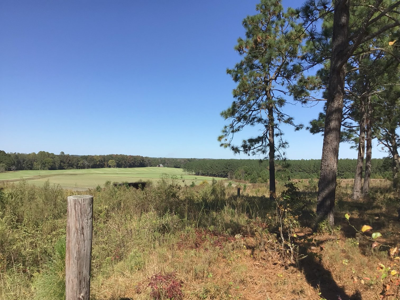 Image for Approx. 300 Acres Divided into 4 tracts and a Home in Harnett County!