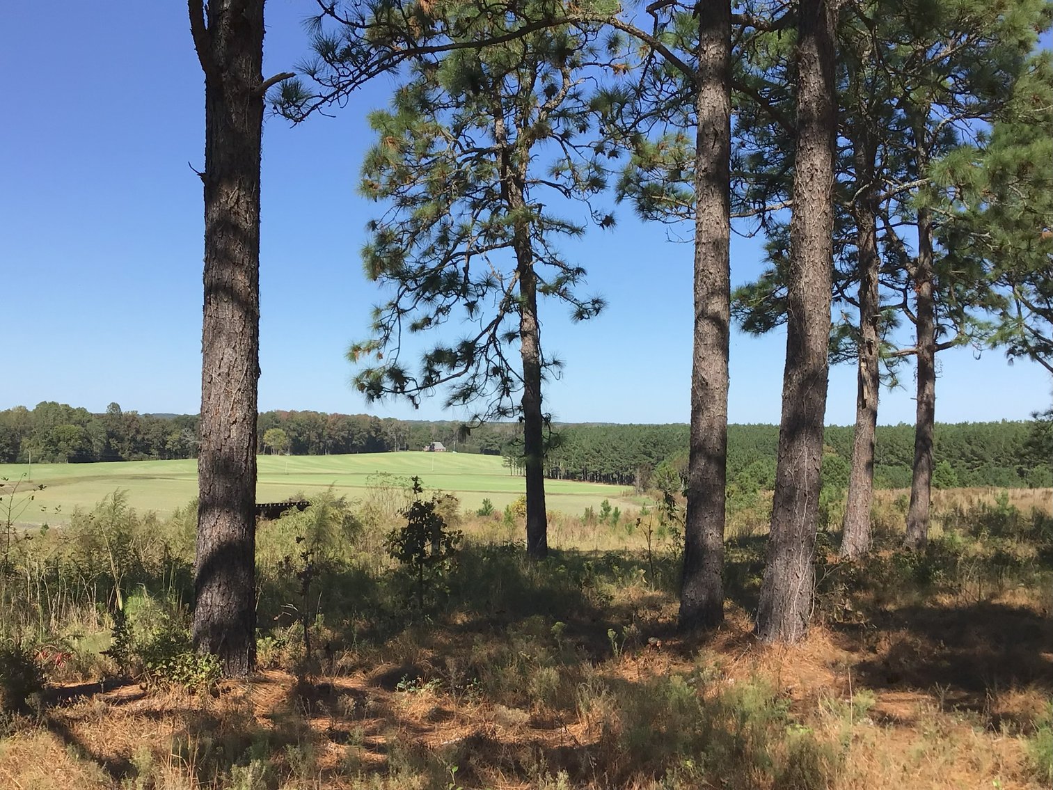 Image for Approx. 300 Acres Divided into 4 tracts and a Home in Harnett County!