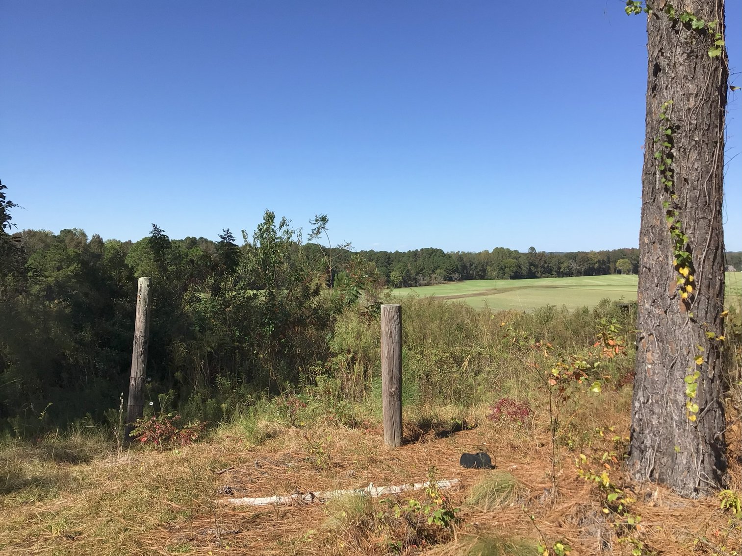 Image for Approx. 300 Acres Divided into 4 tracts and a Home in Harnett County!