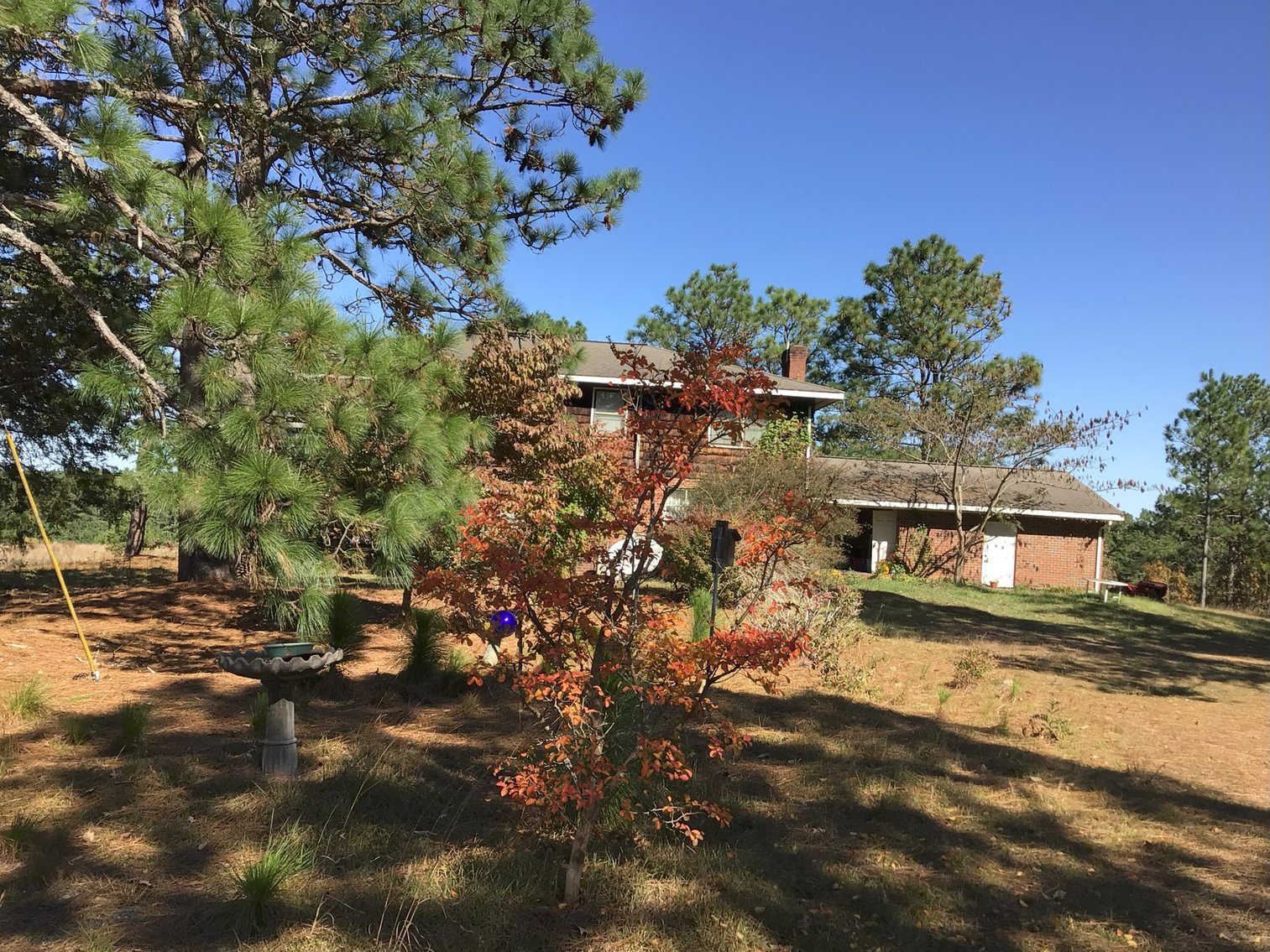 Image for Approx. 300 Acres Divided into 4 tracts and a Home in Harnett County!