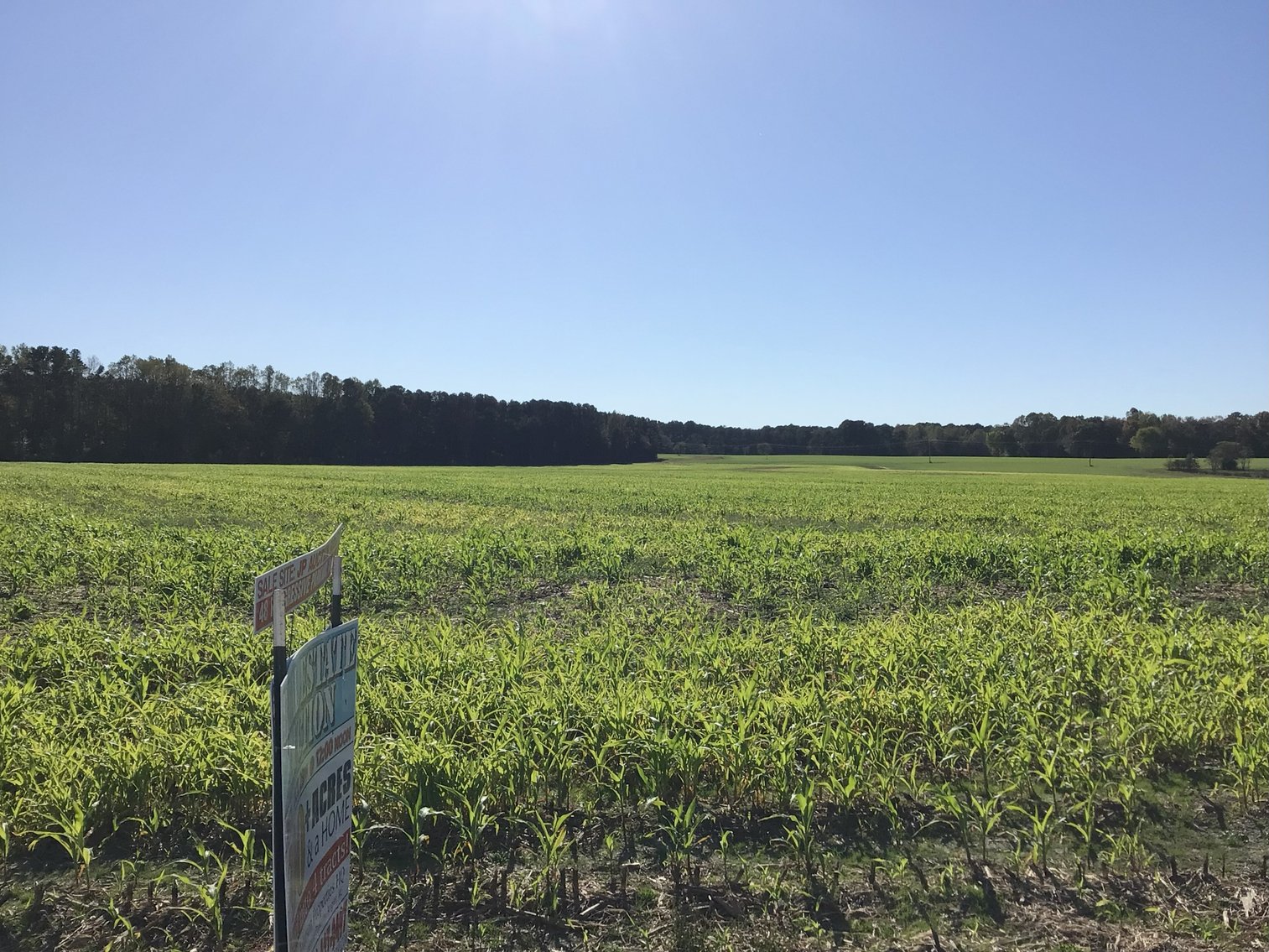 Image for Approx. 300 Acres Divided into 4 tracts and a Home in Harnett County!