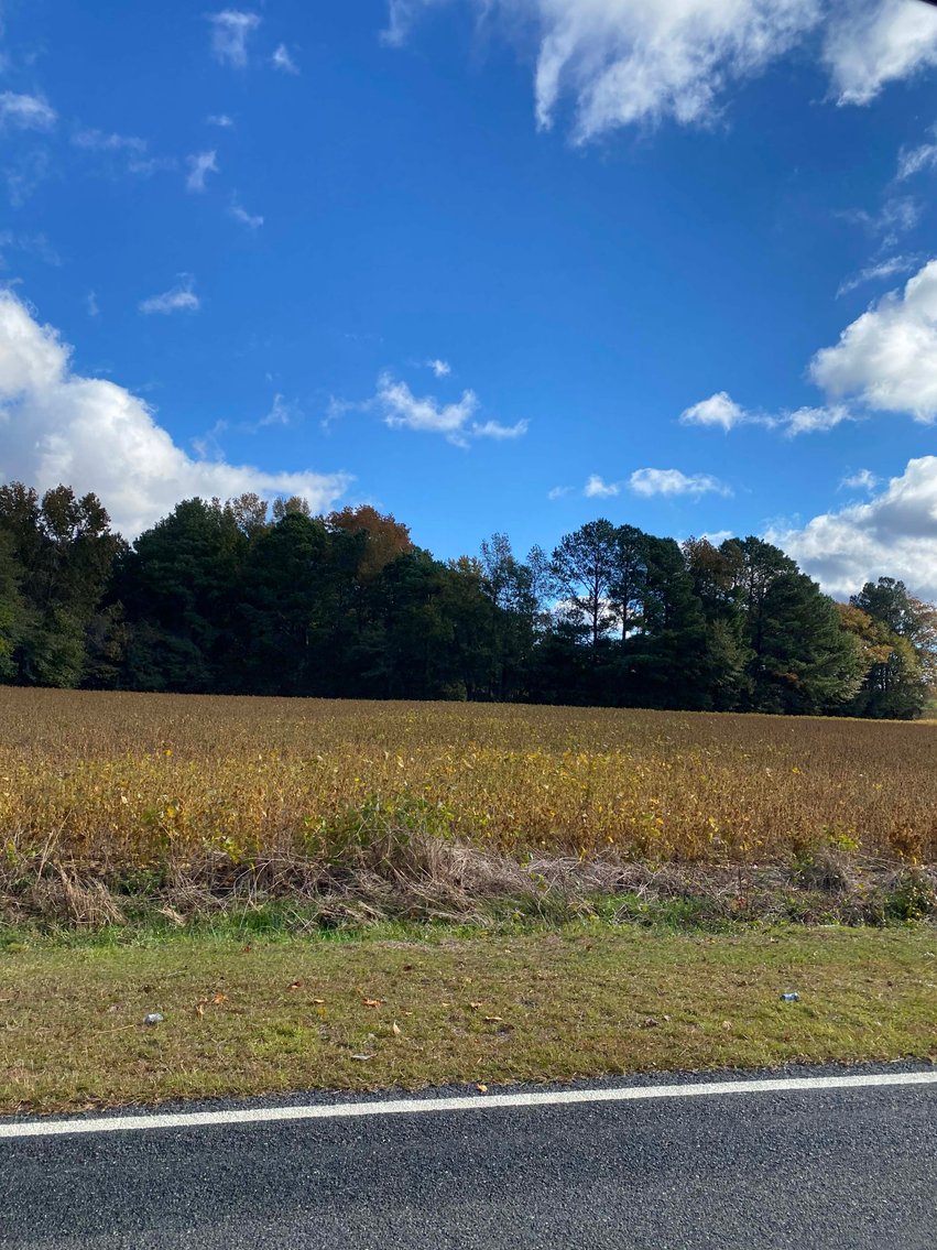 Image for Beautiful Tracts of Land between Coats and Dunn to be Divided!