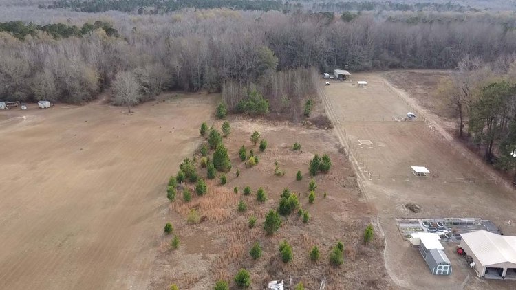 Image for Over 7 acres with a Manufactured Home Selling at Public Auction in Harnett County on 1530 Clark Road, Lillington, NC.