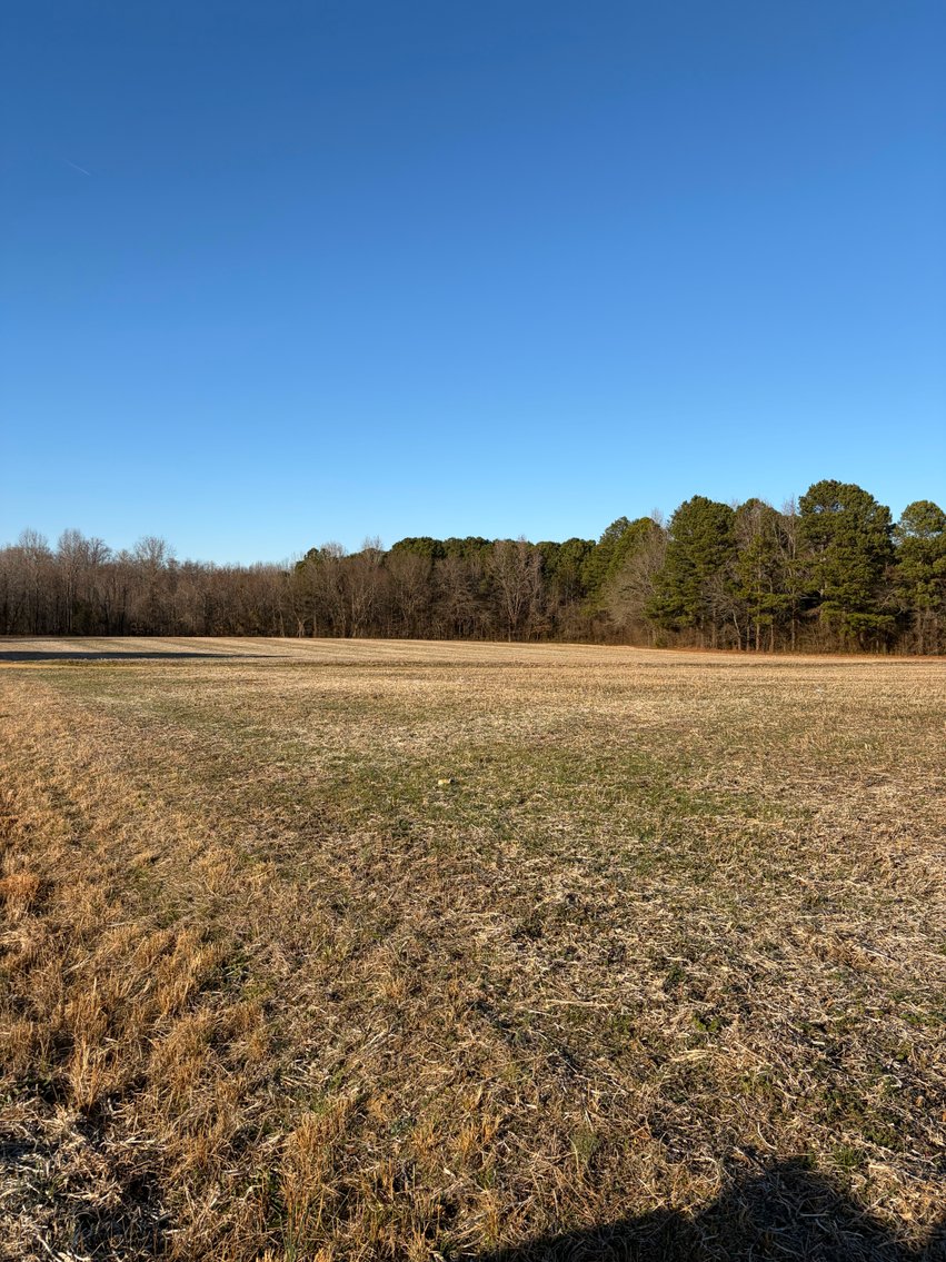 Image for Beautiful Tracts of Land between Coats and Dunn to be Divided!