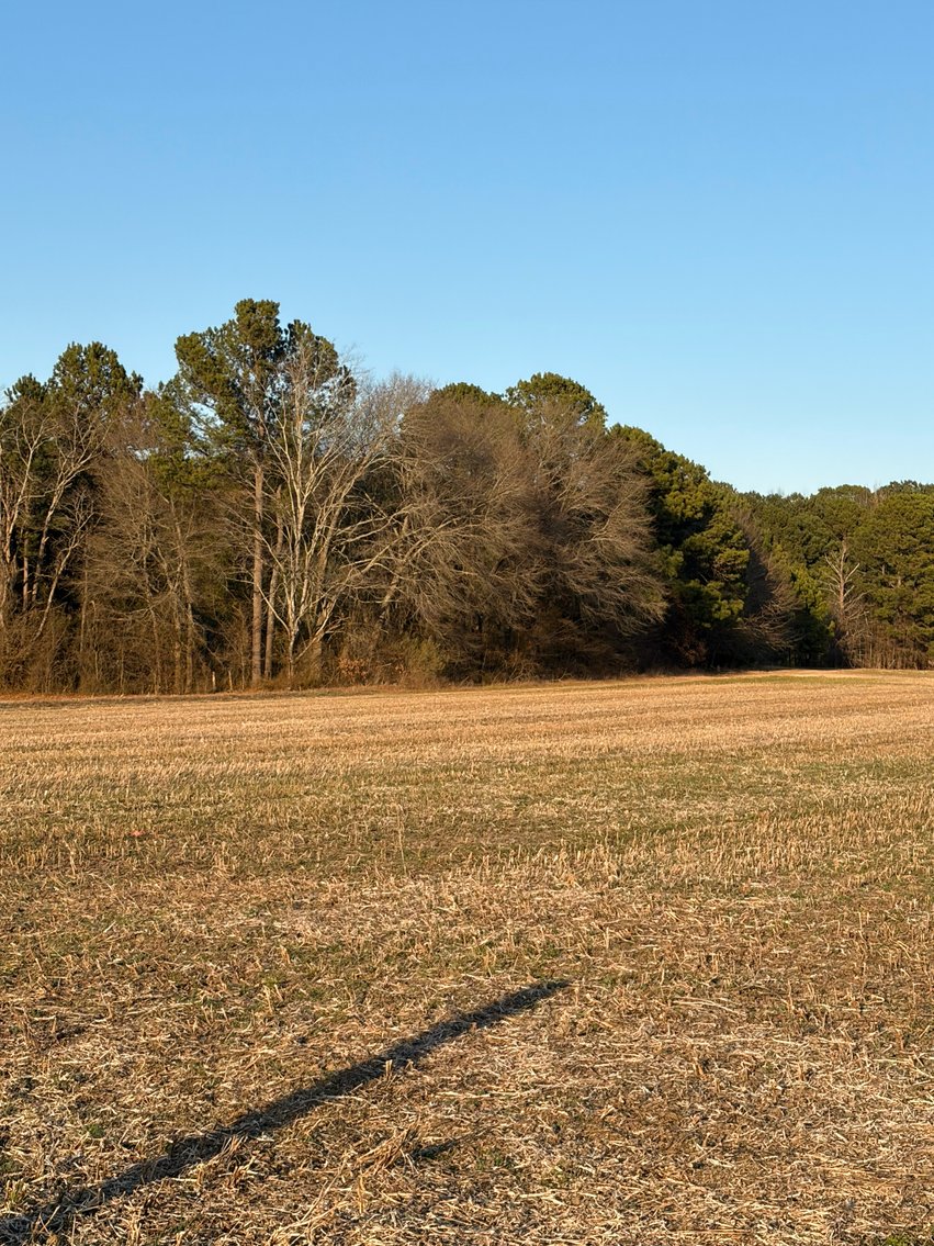 Image for Beautiful Tracts of Land between Coats and Dunn to be Divided!