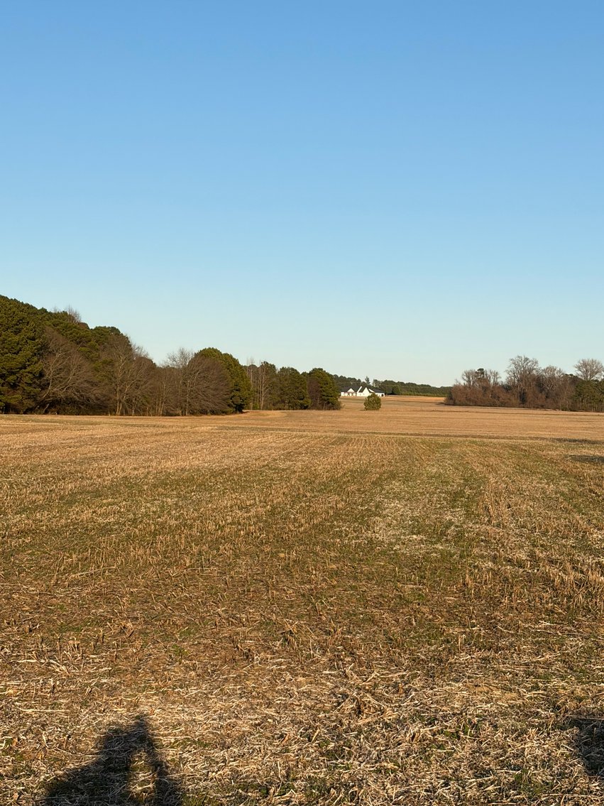 Image for Beautiful Tracts of Land between Coats and Dunn to be Divided!