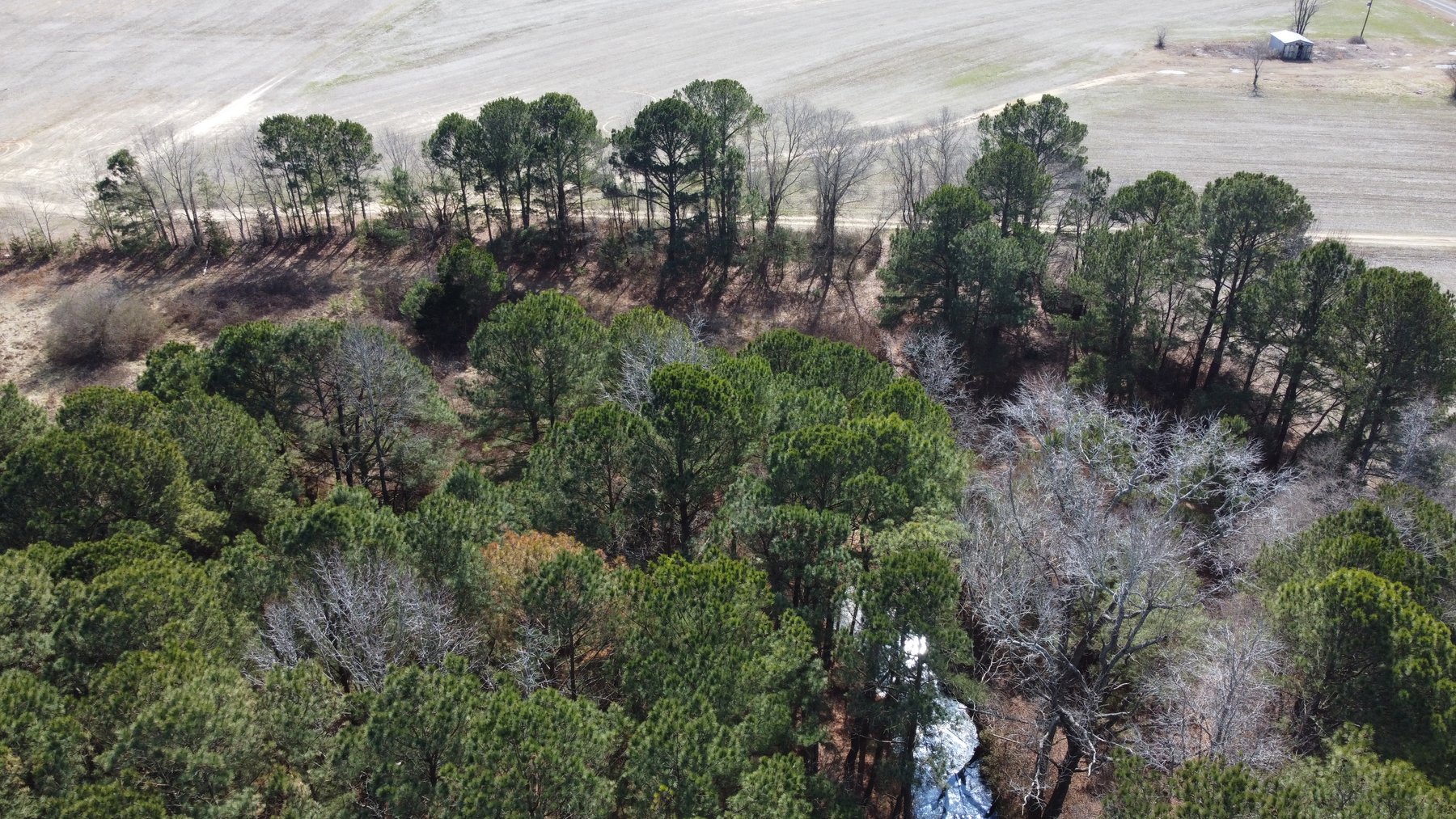 Image for Beautiful Tracts of Land between Coats and Dunn to be Divided!