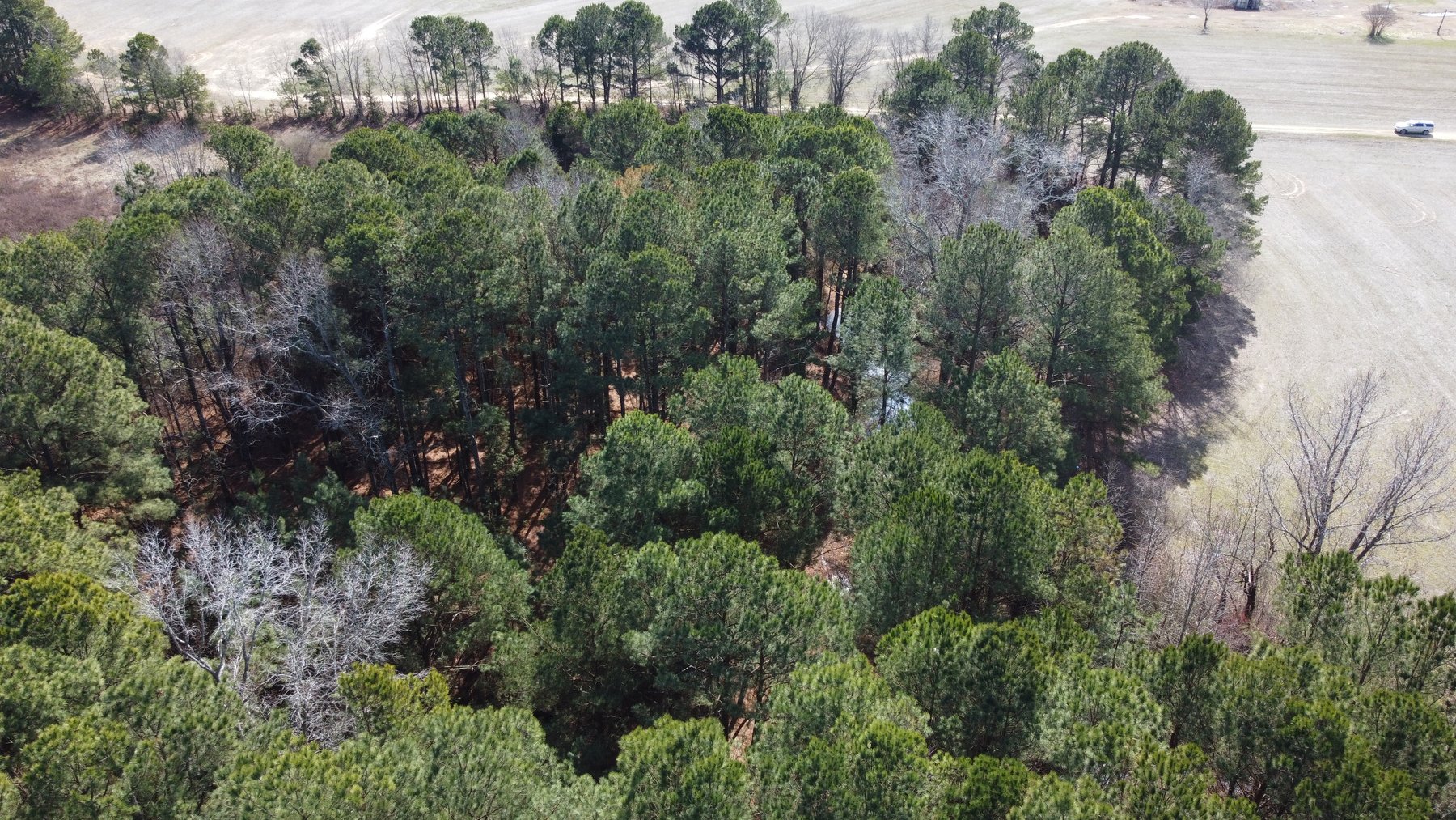 Image for Beautiful Tracts of Land between Coats and Dunn to be Divided!