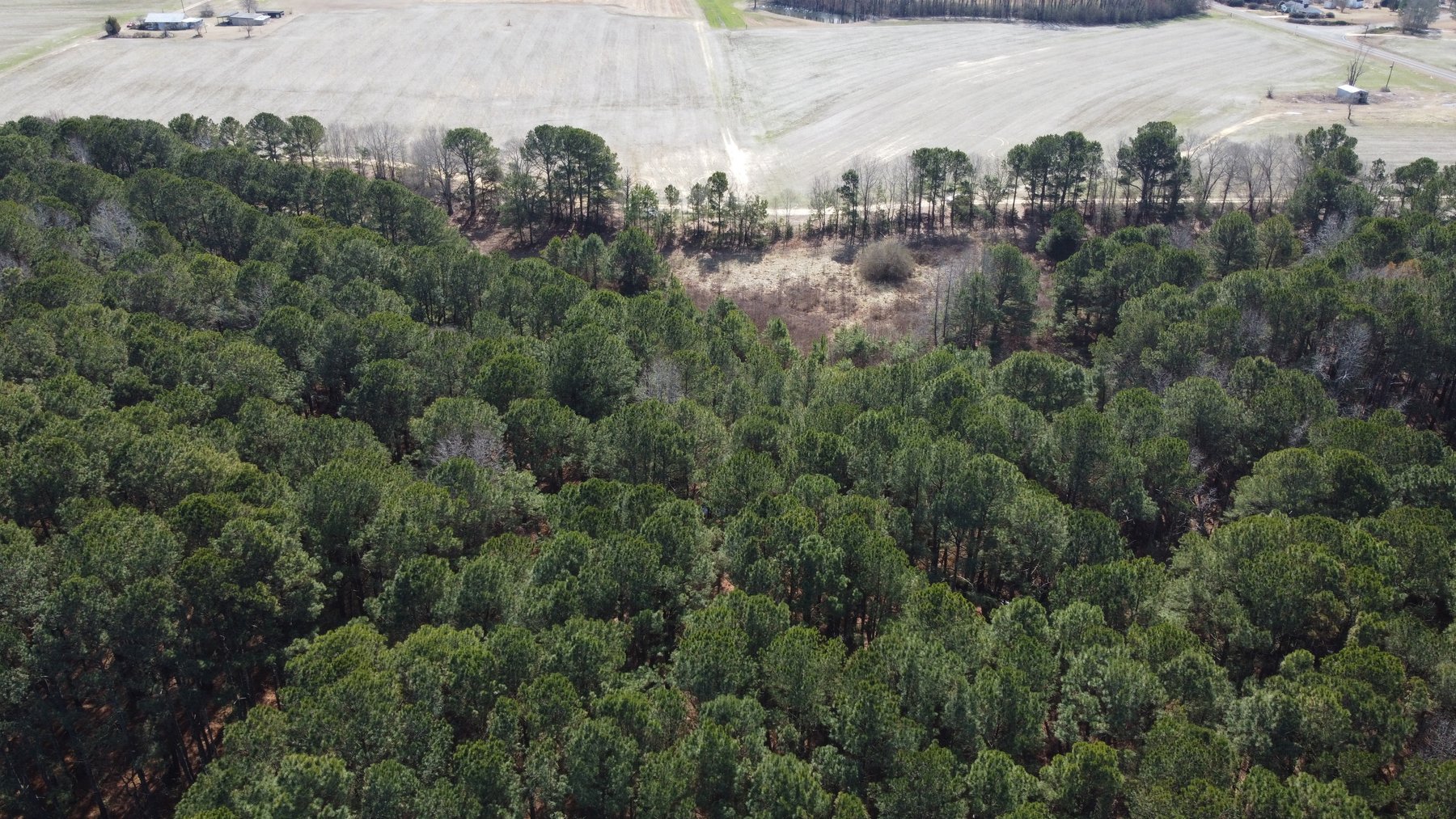 Image for Beautiful Tracts of Land between Coats and Dunn to be Divided!