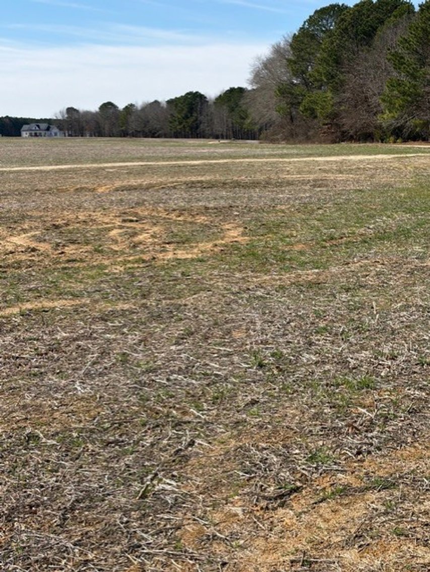 Image for Beautiful Tracts of Land between Coats and Dunn to be Divided!