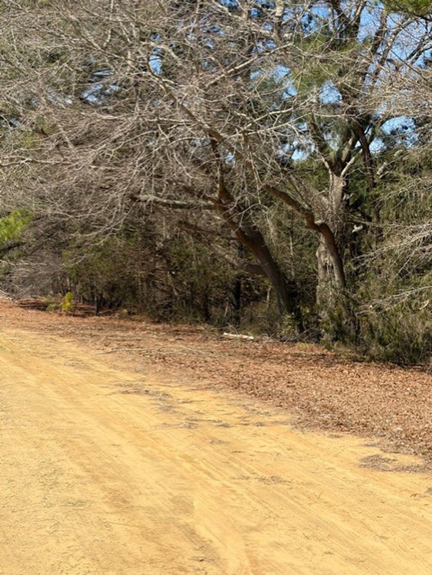 Image for Beautiful Tracts of Land between Coats and Dunn to be Divided!